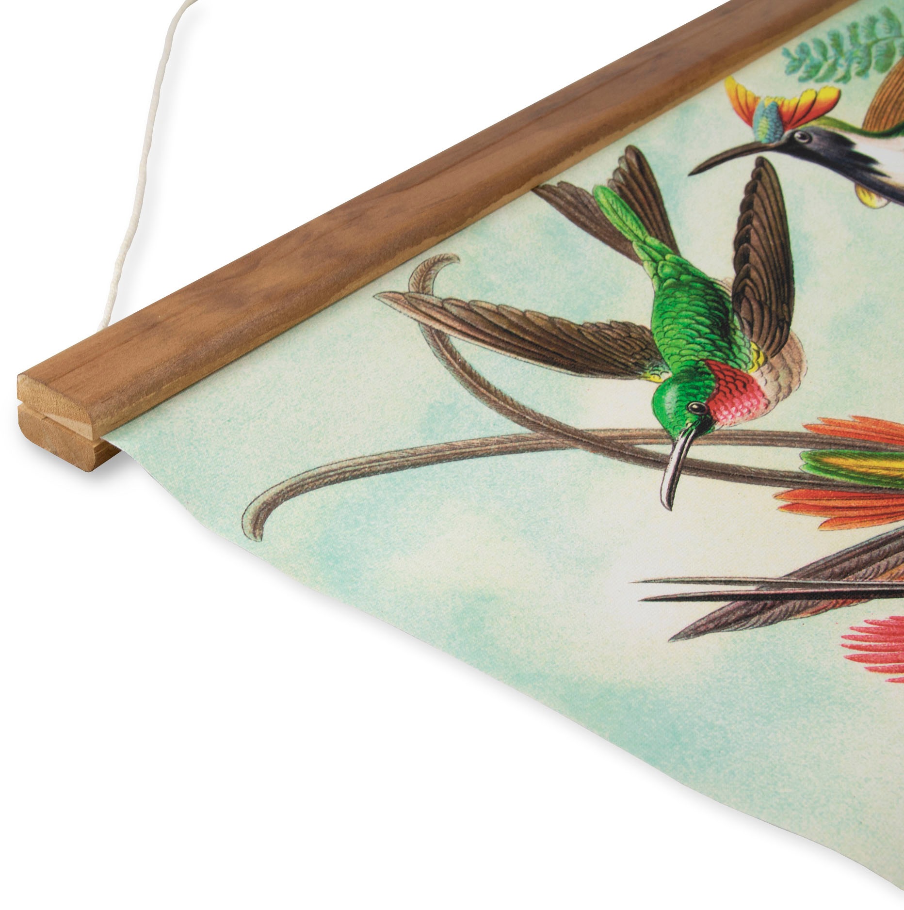Art for the home Leinwandbild »Hummingbirds«, (1 St.), Luxus Kakemono Leinen Wandposter 80x60cm
