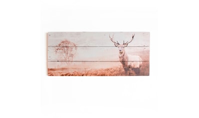 Art for the home Holzbild »Stag«, Hirsche kaufen