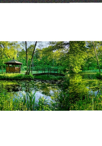 Fototapete »GARTEN-BLUMEN BÄUME PFLANZEN PARK STEINE BLÜTEN WALD«