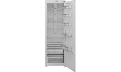 Einbaukühlschrank »SJ-LD300E00X-EU«, SJ-LD300E00X-EU, 177 cm hoch, 54 cm breit