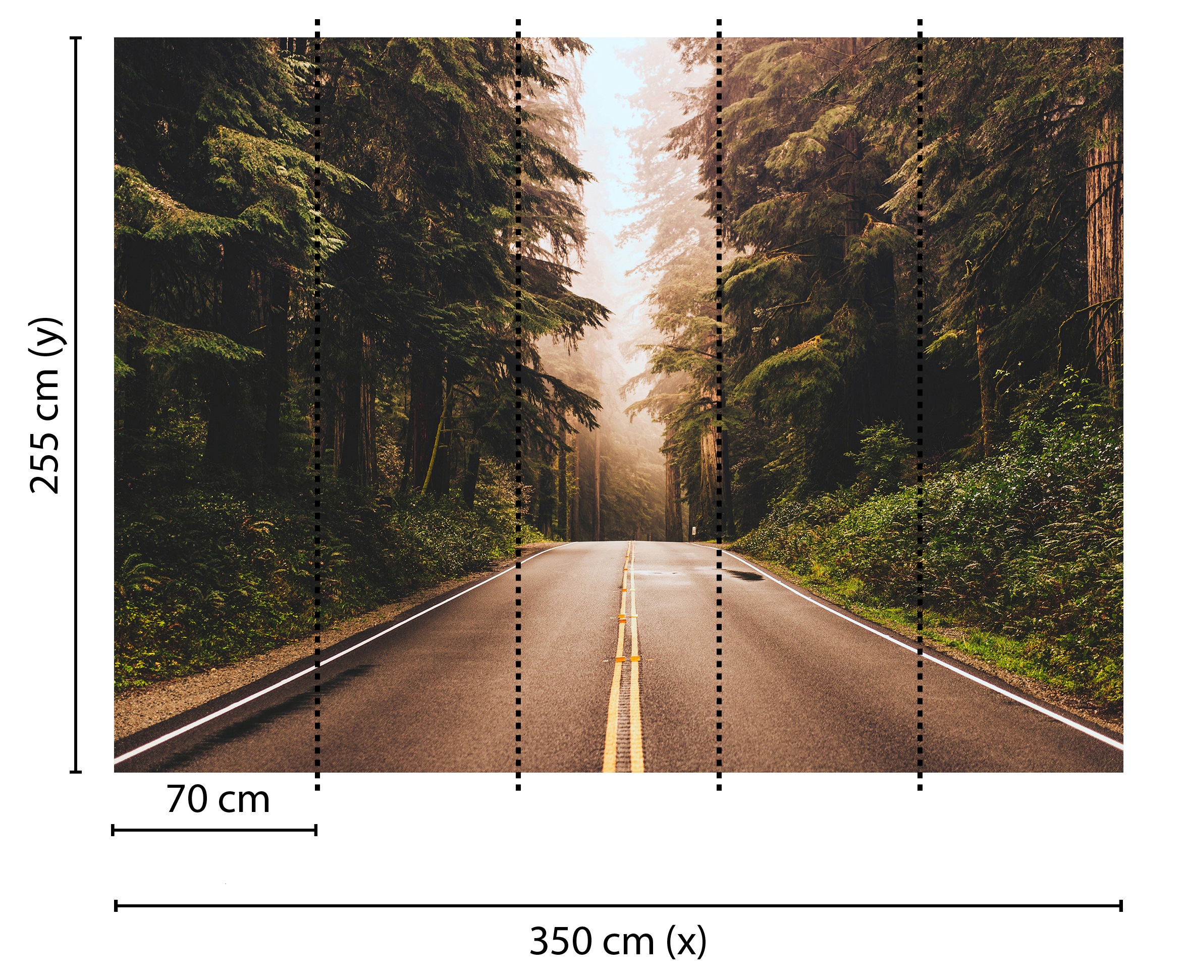 living walls Fototapete »Designwalls Road Trip«, Vlies, Wand, Schräge, Decke