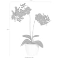 Creativ green Kunstpflanze »Phalaenopsis«, (Set, 2 St.)
