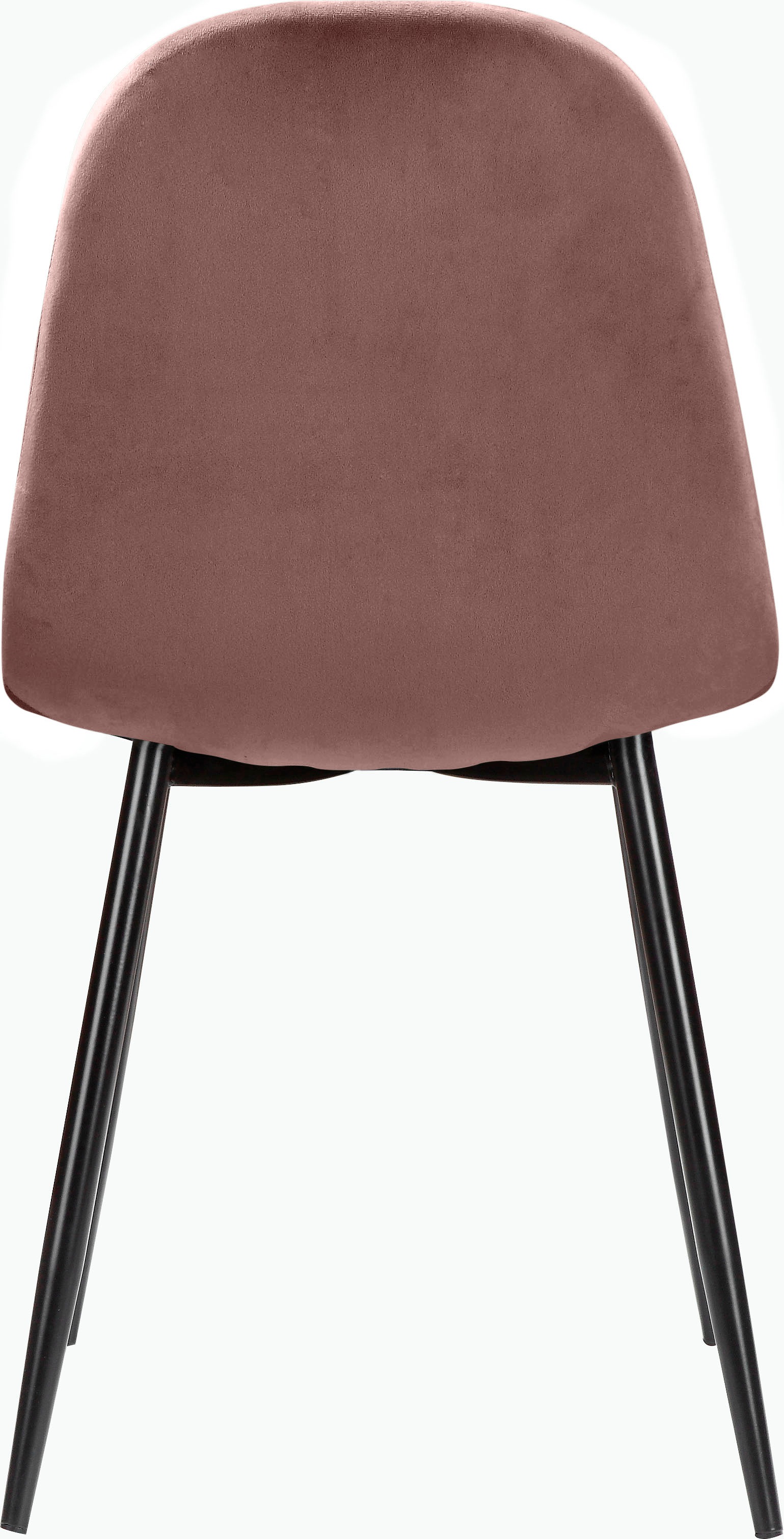 Leonique Essgruppe »Eadwine, TOPSELLER! Tisch plus 4 Stühle, Sitzgruppe«, (Set, 5 tlg., Esstisch plus 4 Esszimmerstühle), bestehend aus Esstisch 160 cm und 4 Esszimmerstühlen, Polsterstühlen