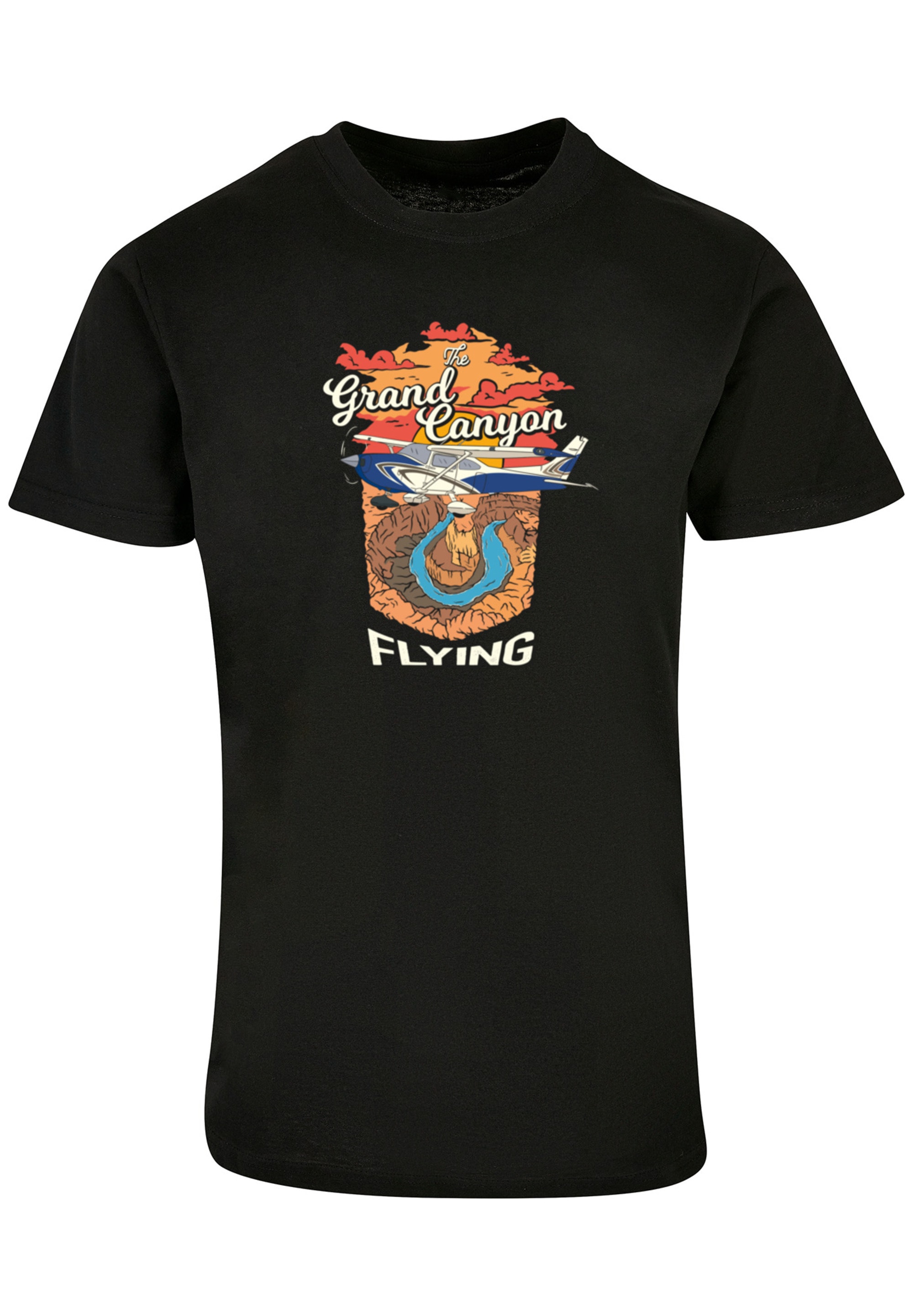 F4NT4STIC T-Shirt "Grand Canyon Flying", Print günstig online kaufen