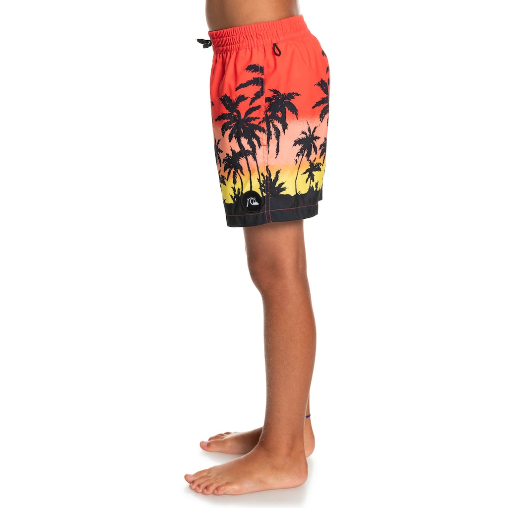 Quiksilver Boardshorts »Everyday Paradise 14"«