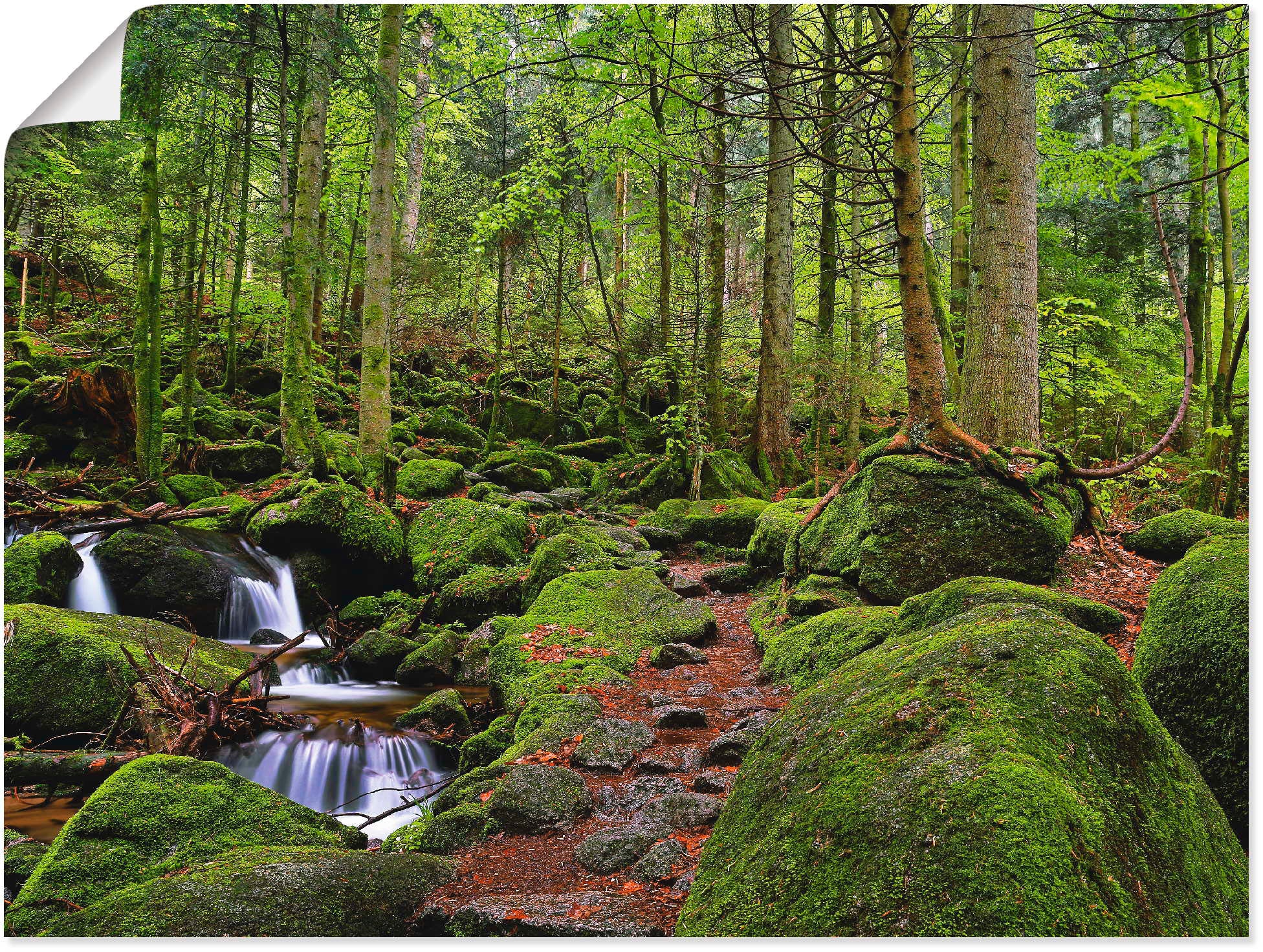 Artland Wandbild "Zauberwald" Wald 1 Stk. tlg. als Leinwandbild, Poster in günstig online kaufen