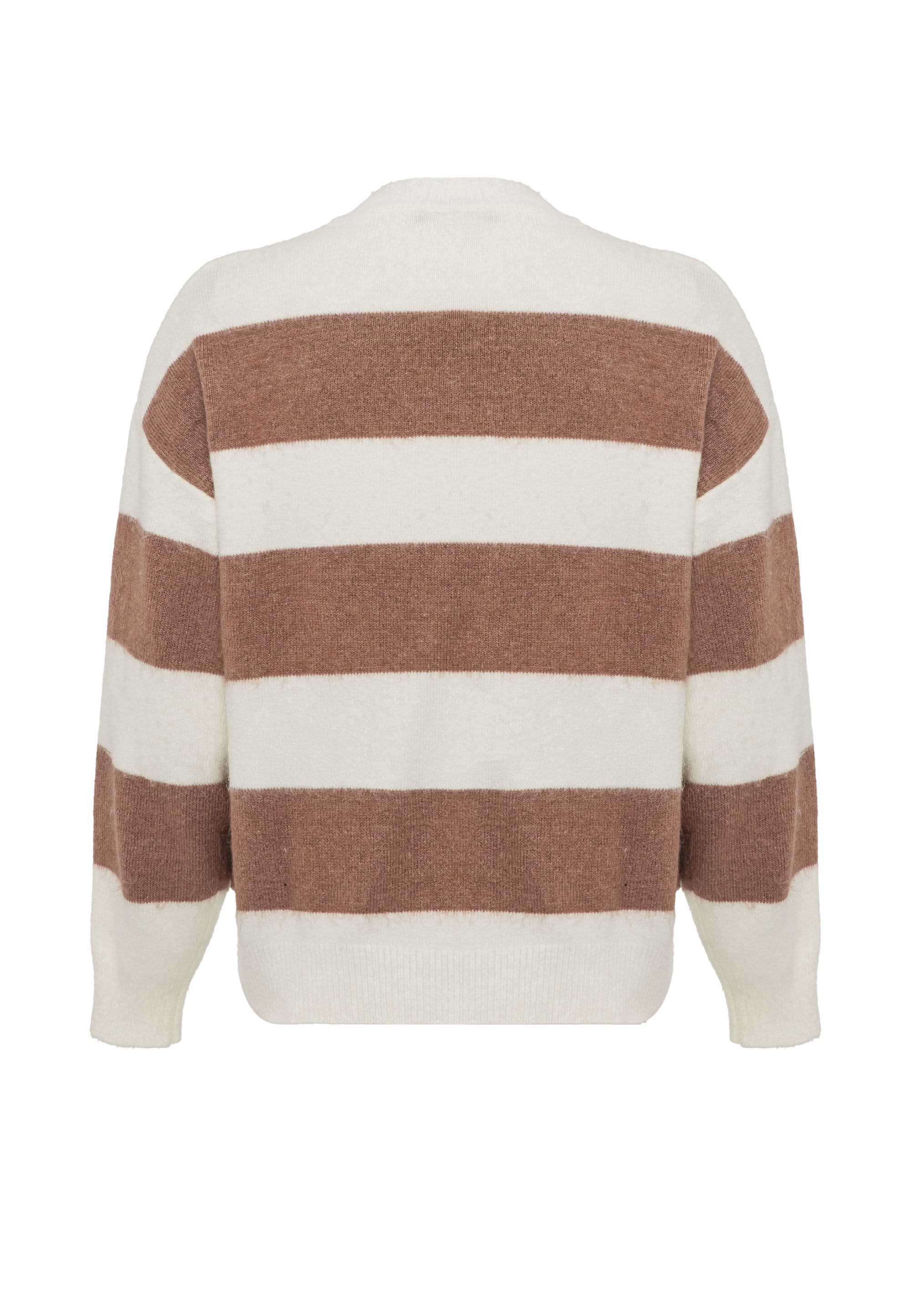 Cipo & Baxx Strickpullover »WP263« 1 Stk. Streifenmuster mit Frontprint