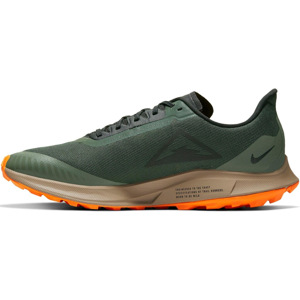 Nike Laufschuh »Pegasus 36 Trail GORE-TEX«