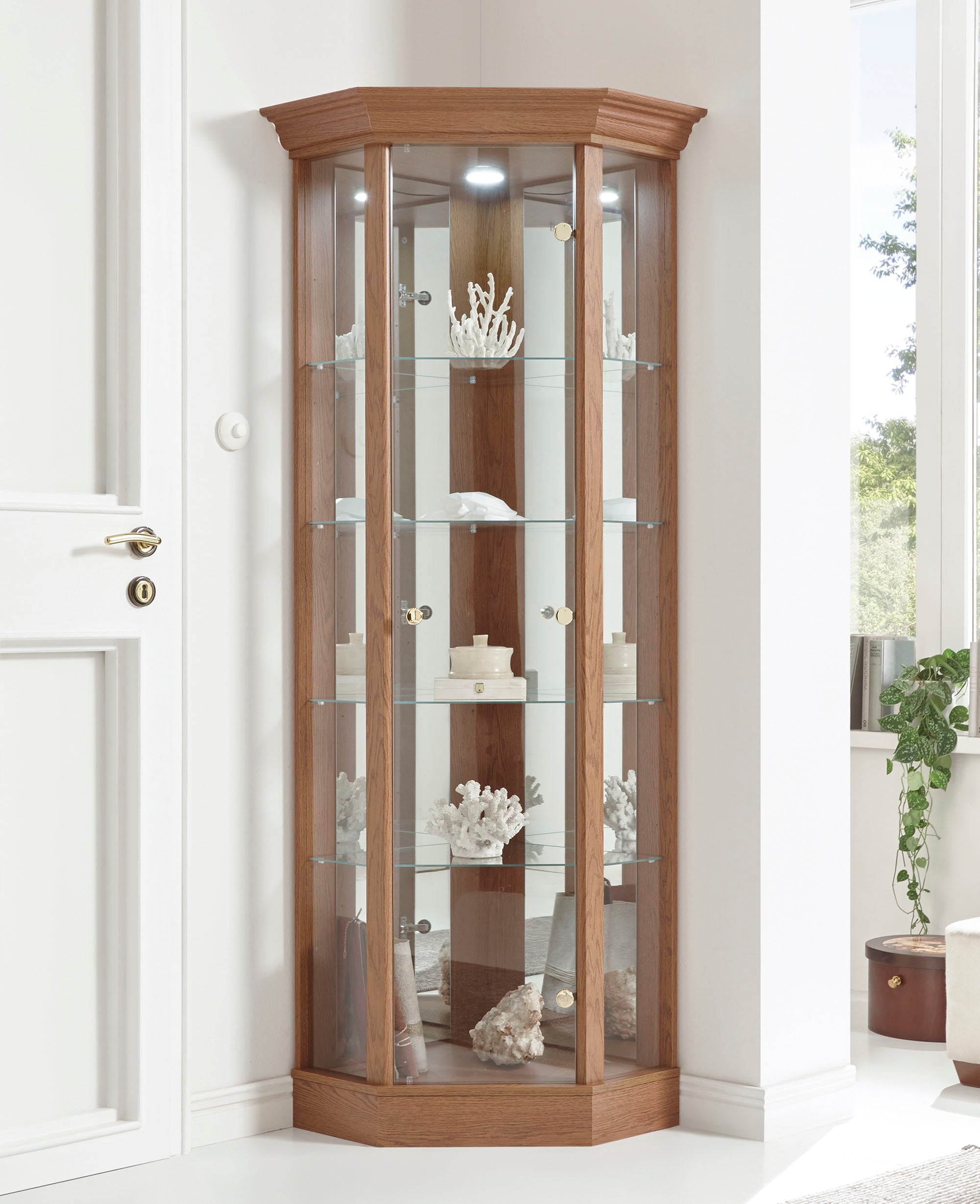 fif möbel Vitrine »TRIO«, Eckvitrine/Glasvitrine 1x Glastür, perfekt für Sammler, Sammlervitrine