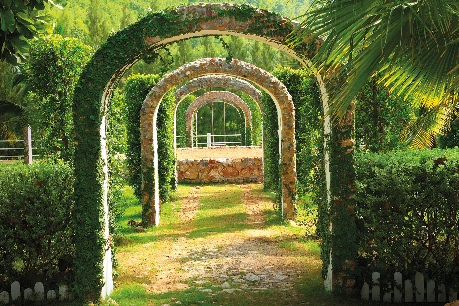 Papermoon Fototapete "Pergola Garden" glatt