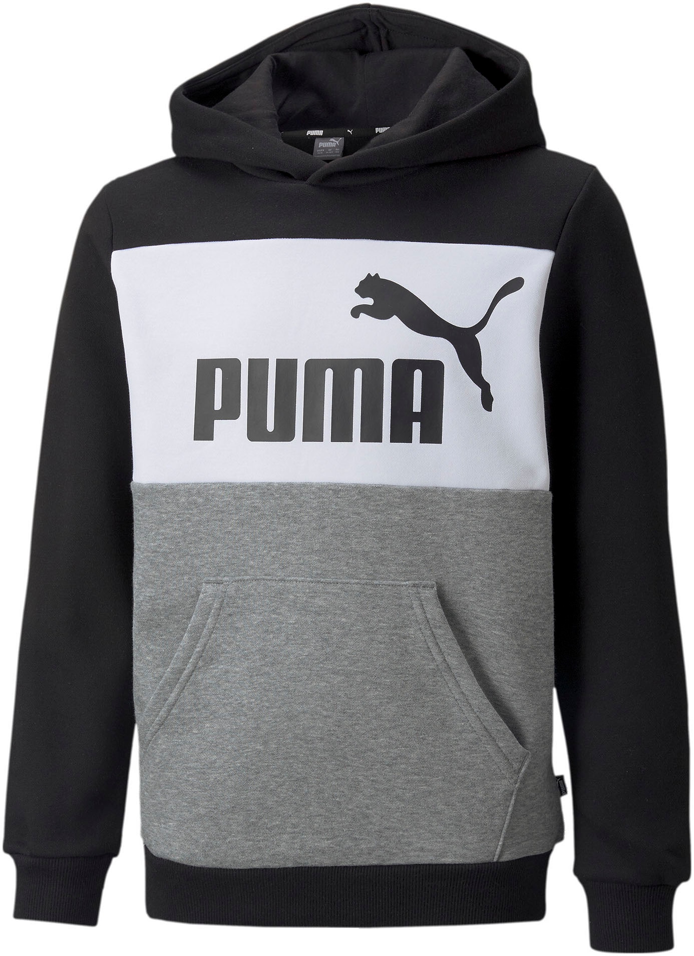 PUMA Sweater »ESS BLOCK HOODIE FL - für Kinder« kaufen | BAUR