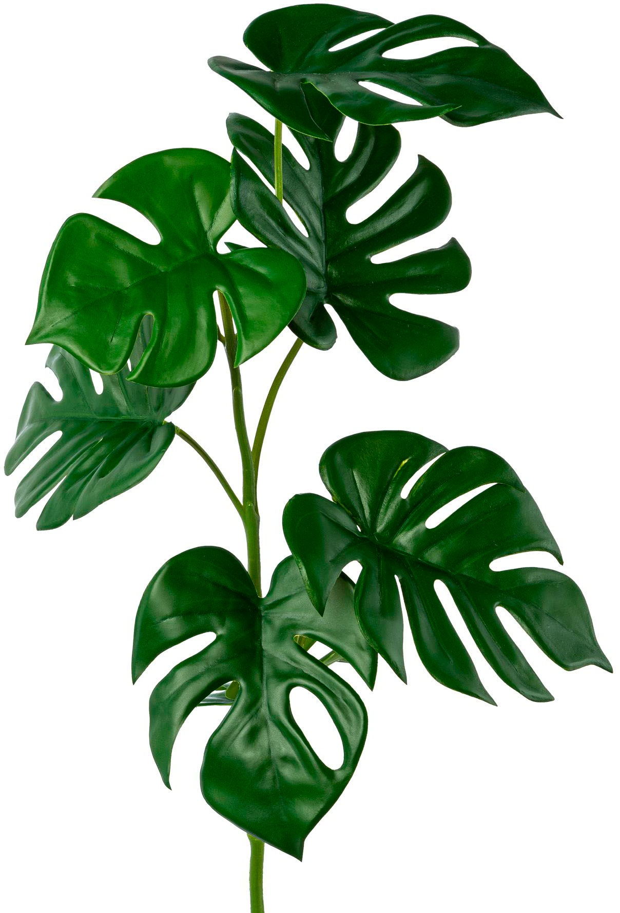 Creativ green Kunstgirlande "Split-Philodendron-Zweig" günstig online kaufen