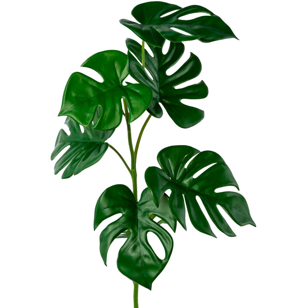 Creativ green Kunstgirlande »Split-Philodendron-Zweig«