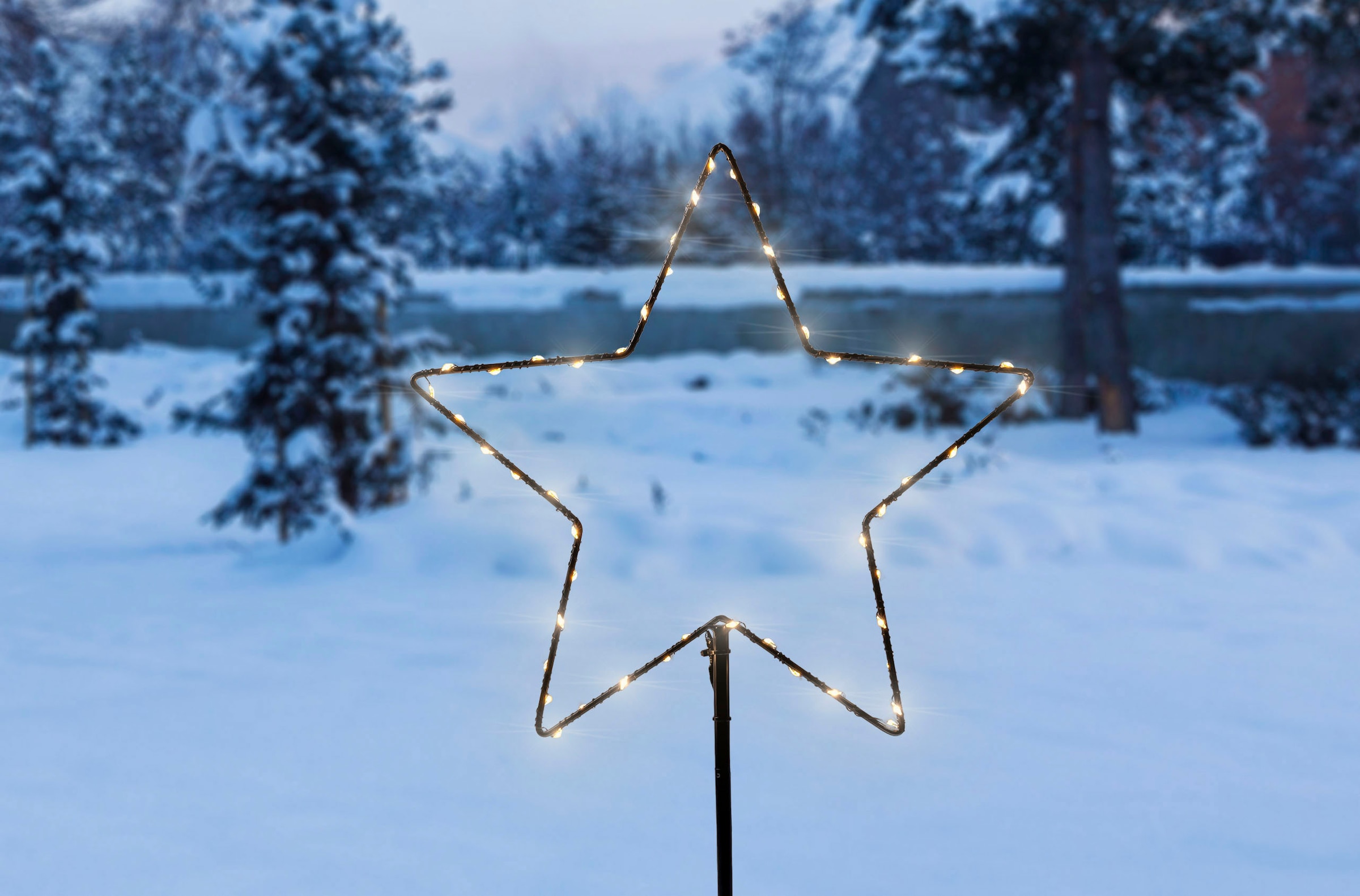 IC Winterworld LED Stern »Weihnachtsdeko, Stern, Dekolicht cm«, für geschützen den Innen- Außenbereich Erdspieß Höhe 150 BAUR 74/80/83 bestellen inkl. flammig-flammig, LED Metallstecker | und