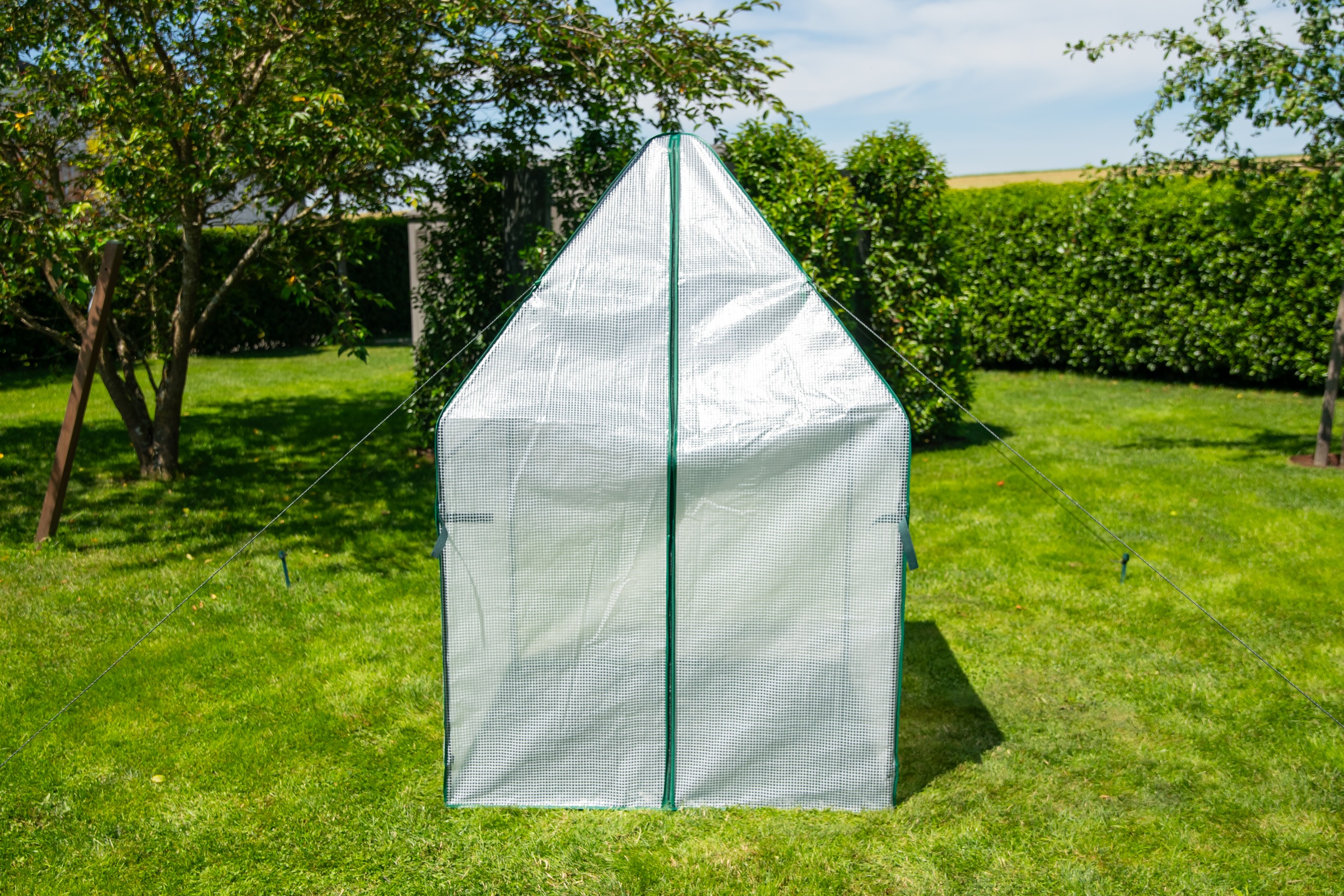 WESTMANN Foliengewächshaus »Chili« Überwinterungszelt