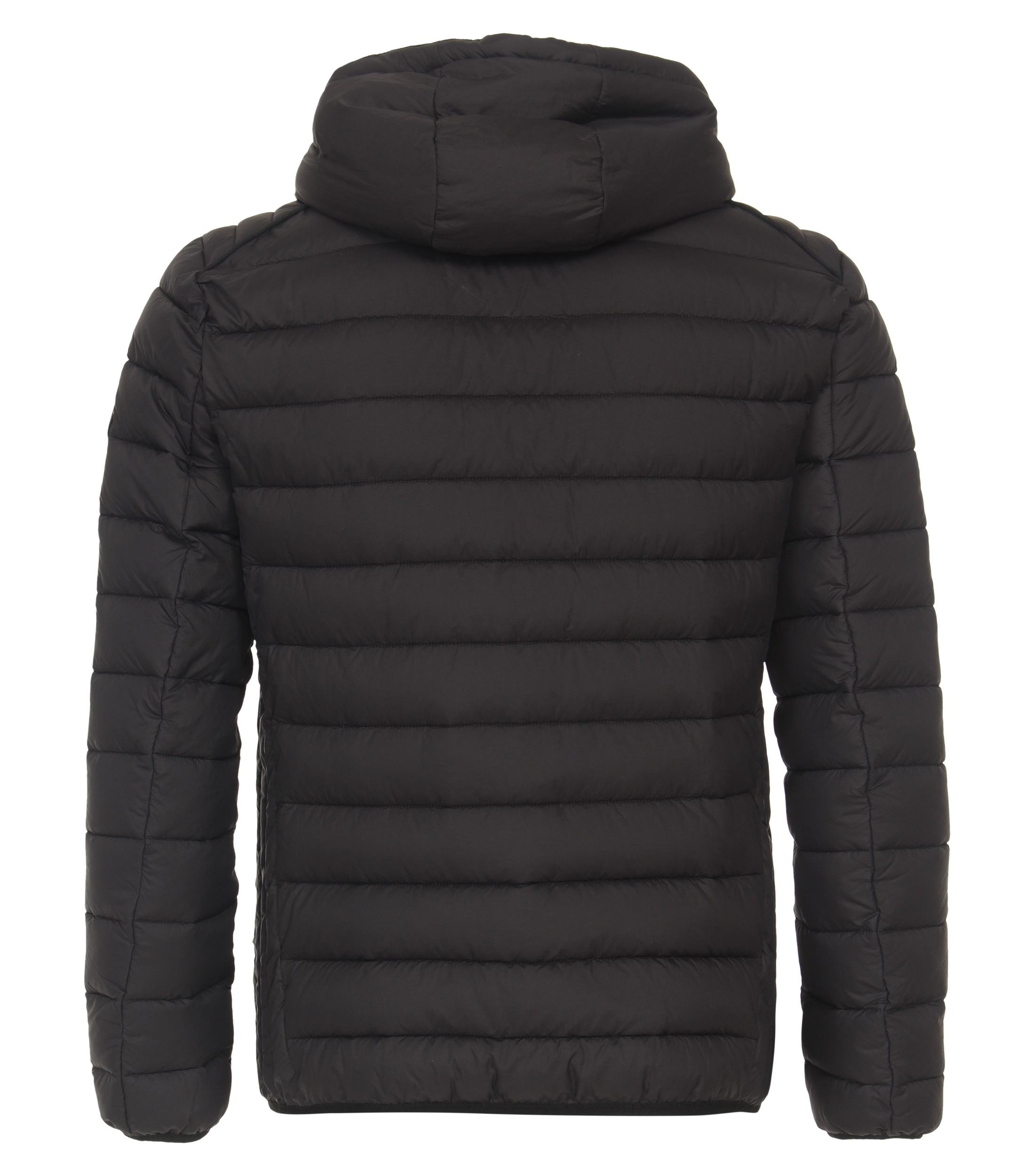 CASAMODA Steppjacke "CASAMODA Steppjacke uni" günstig online kaufen
