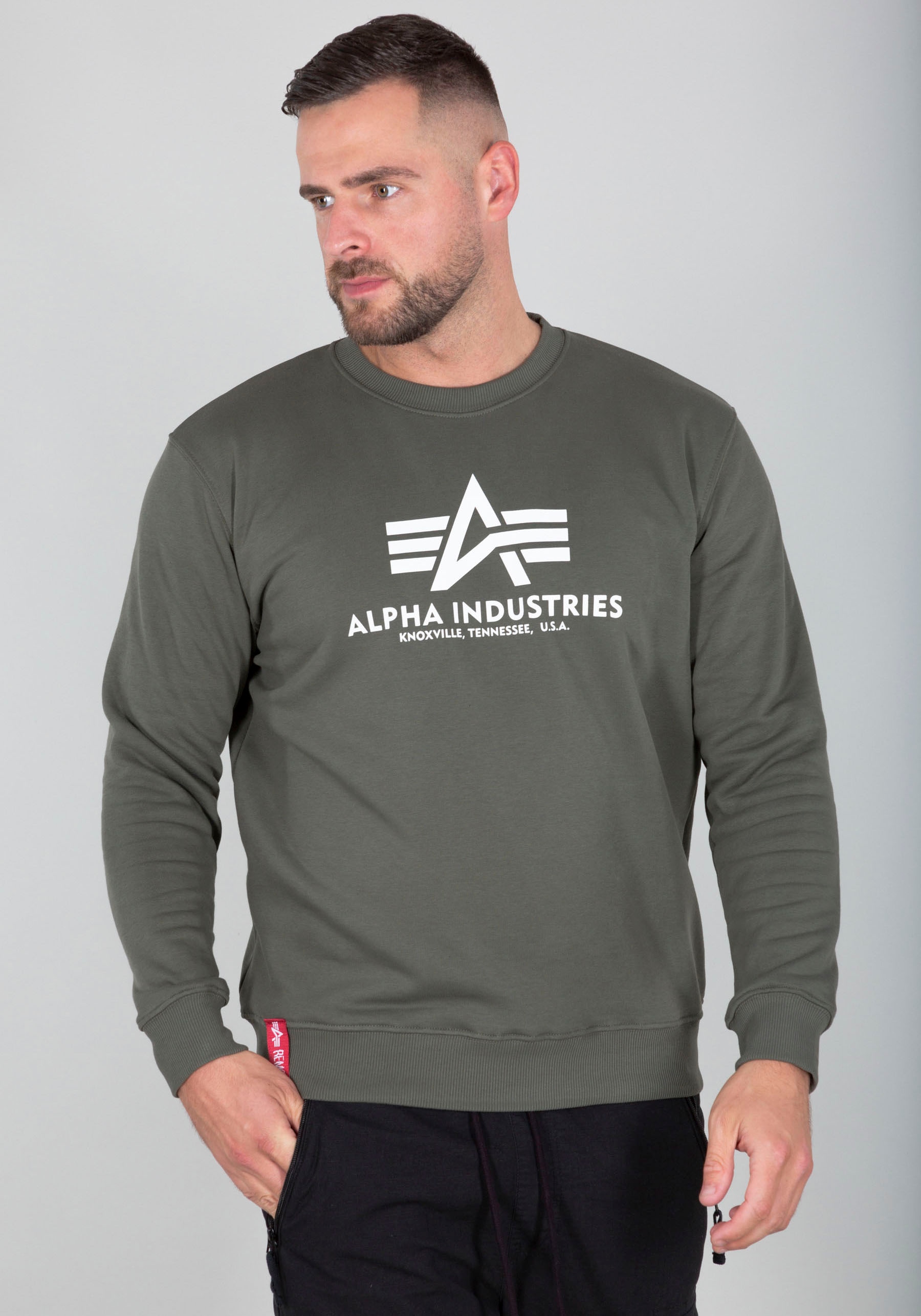 Alpha Industries Sweatshirt "Basic Sweater", Baumwollmischung, regular fit günstig online kaufen