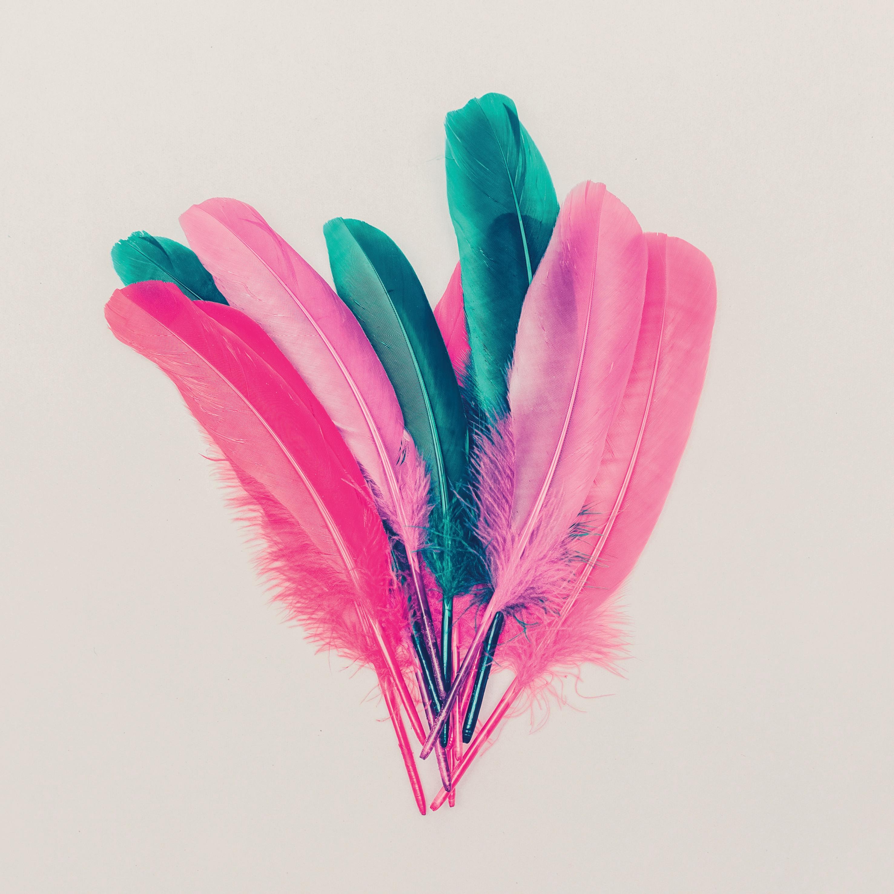 Thumbnail - queence Dekokissen ""Federn"" Kissenhülle ohne Füllung, 1 Stück