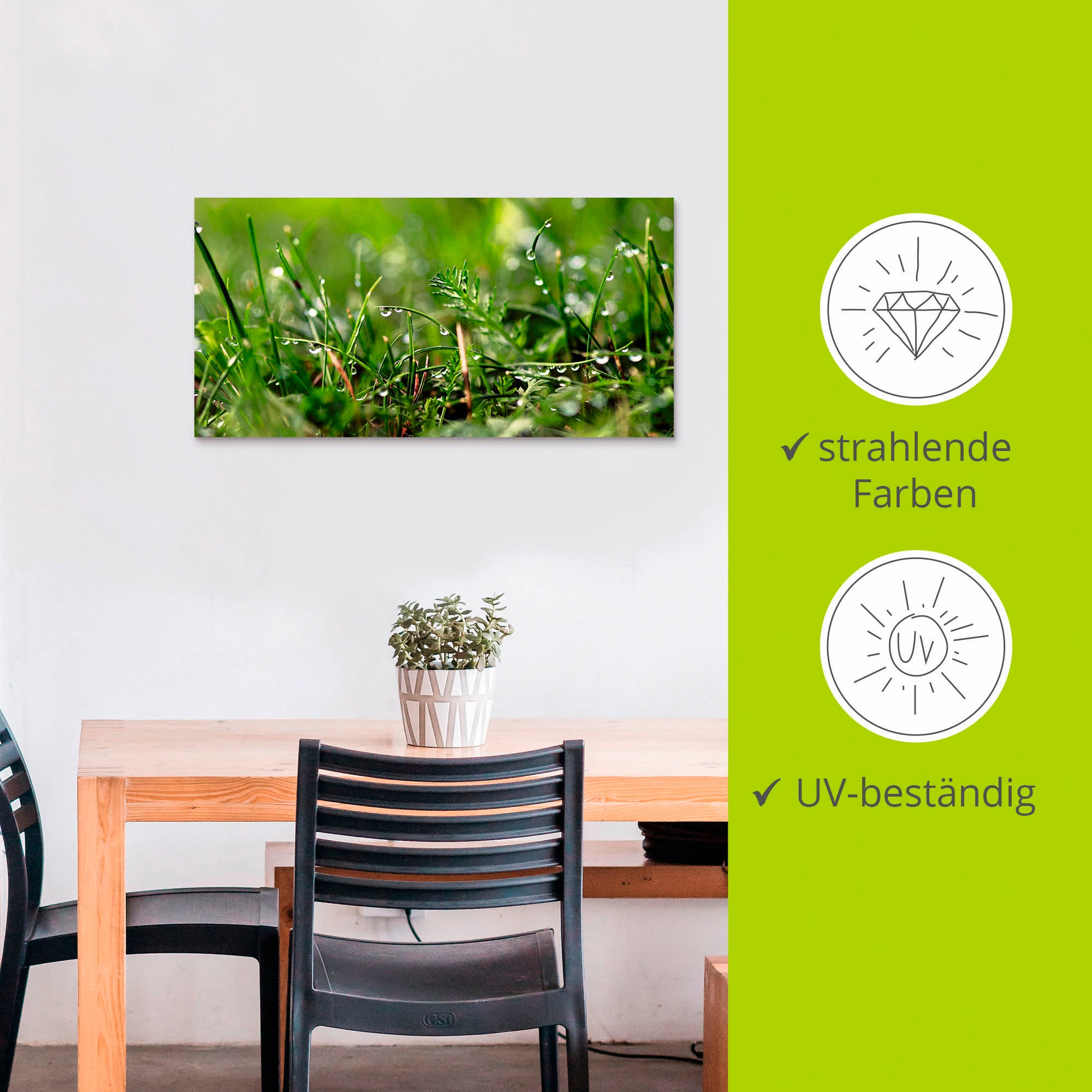 Artland Wandbild »Tautropfen«, Gräser, (1 St.), als Alubild, Outdoorbild, Leinwandbild, Poster in verschied. Größen