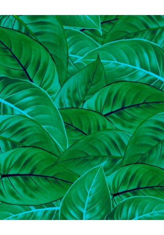 Komar Vliestapete »Jungle Leaves« 200x250 cm...