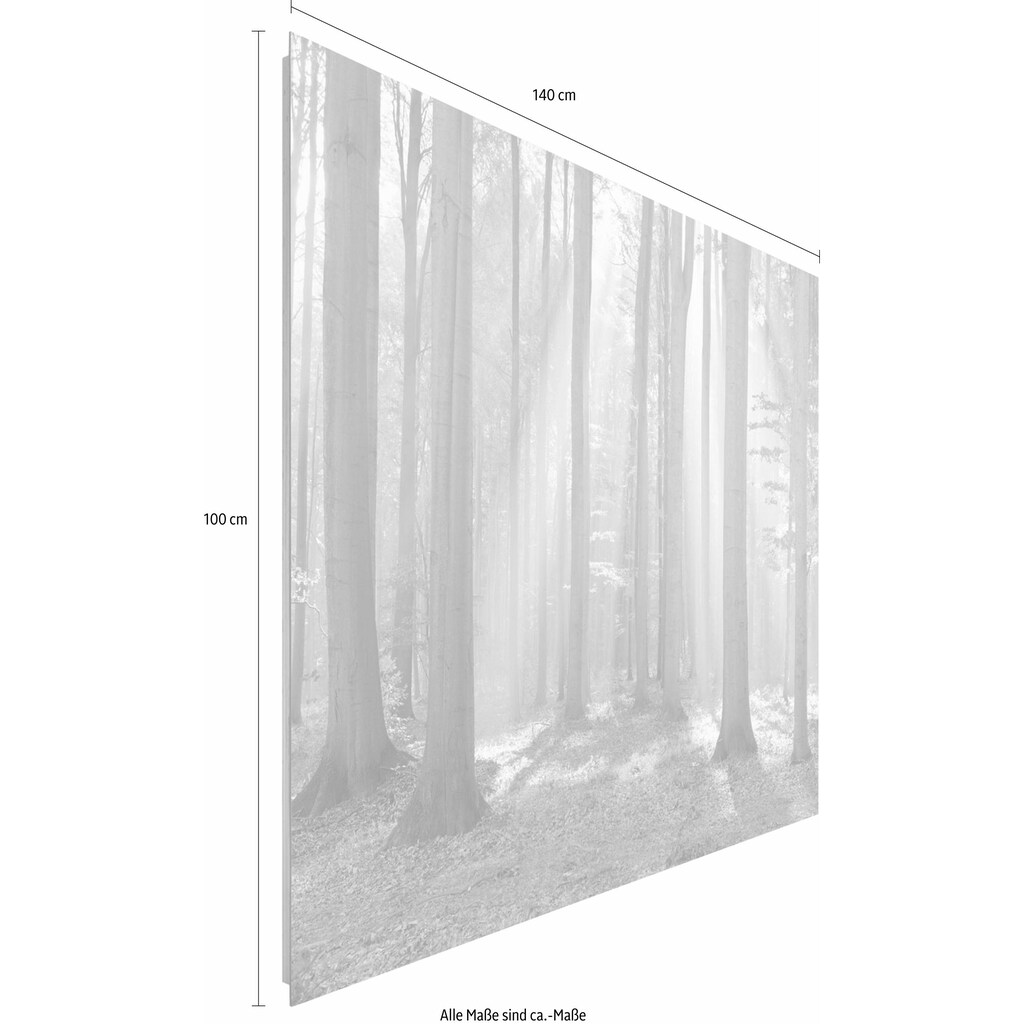 Reinders! Deco-Panel »Wald im Sonnenlicht«