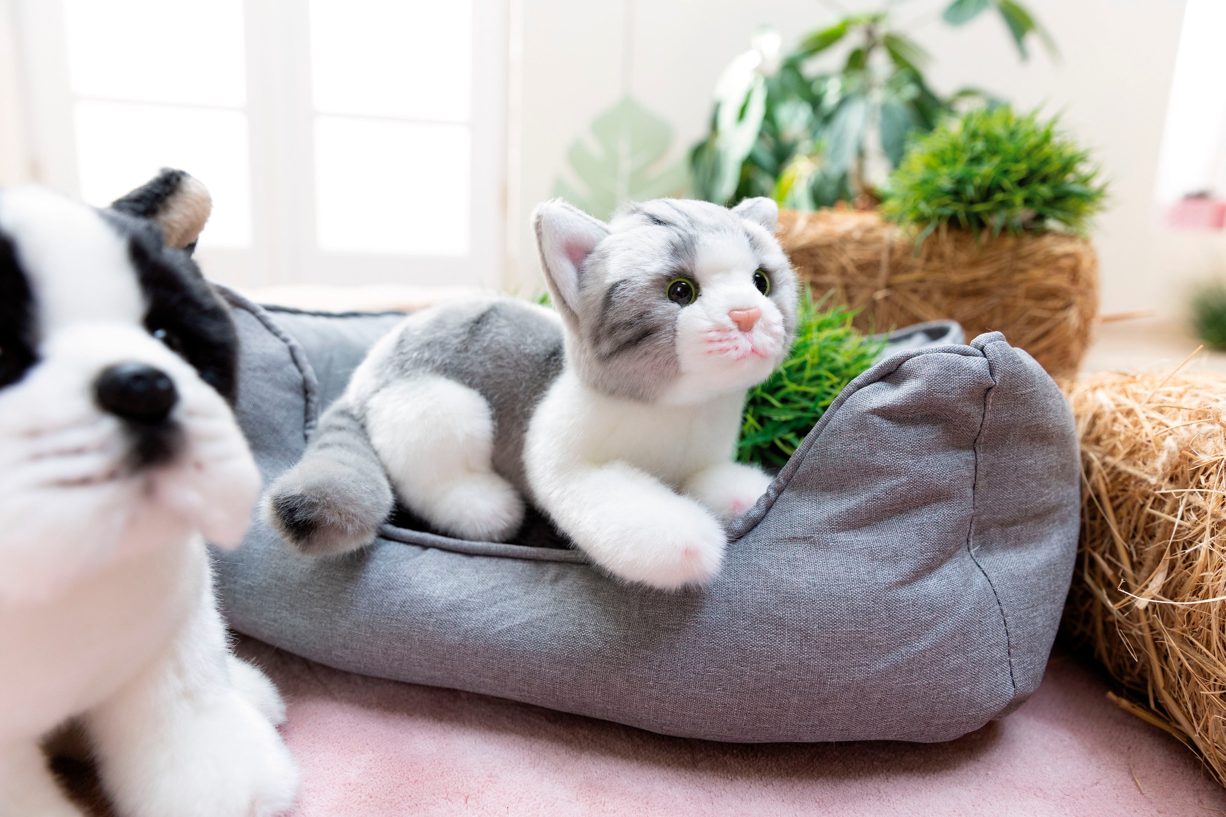 Nici Kuscheltier »Lifelike, Katze, 20 cm«, enthält recyceltes Material (Global Recycled Standard)