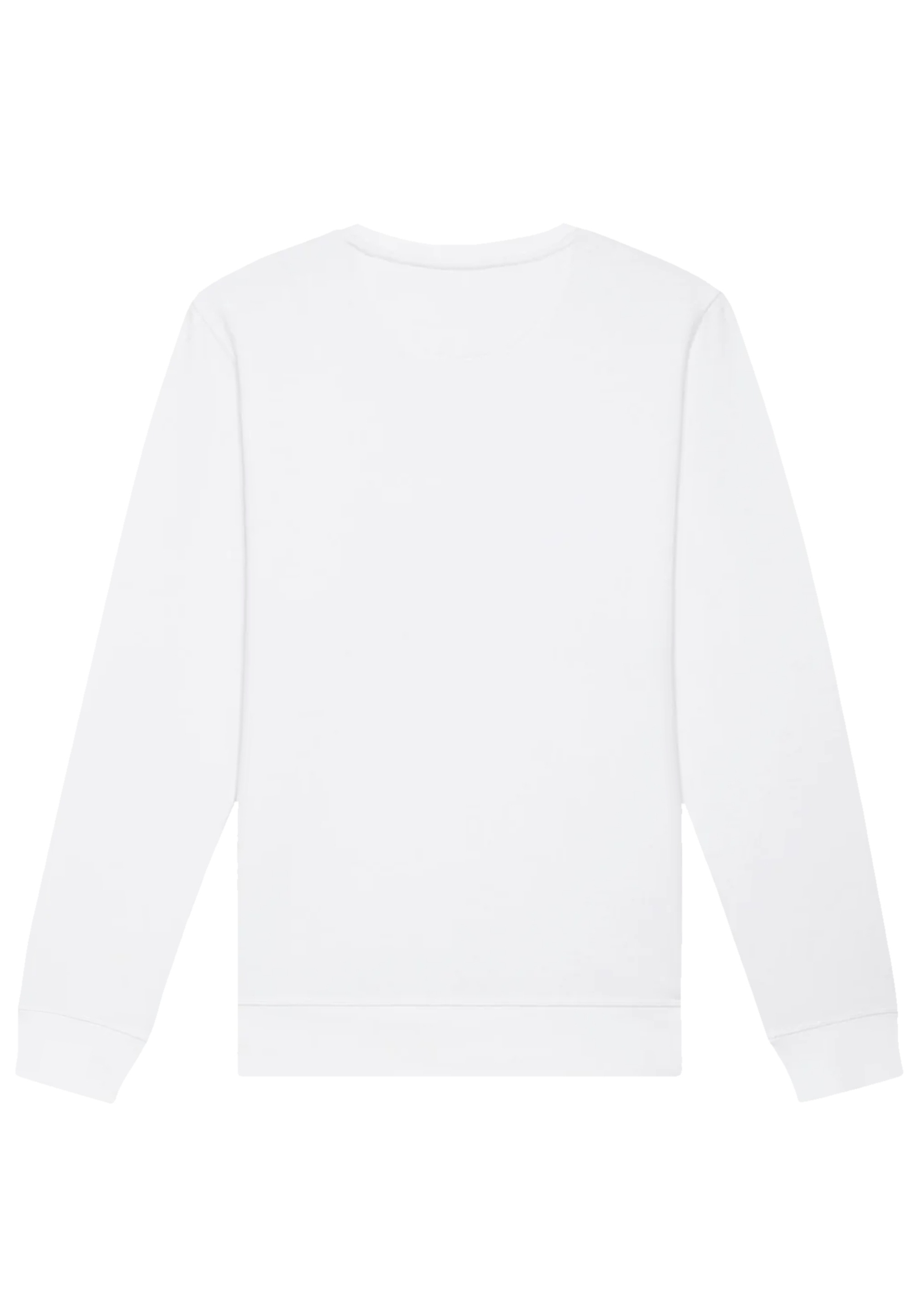 F4NT4STIC Sweatshirt »Moin Anker Knut & Jan Hamburg«, Premium Qualität