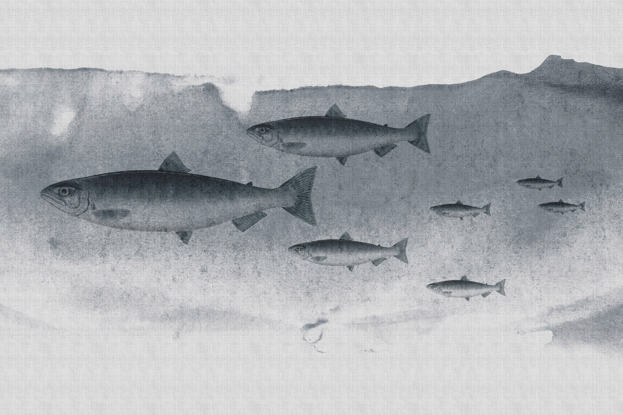 A.S. Création Leinwandbild »into the blue 3«, Tiere, (1 St.), Keilrahmen Bild Unterwasser Welt Fische Grau