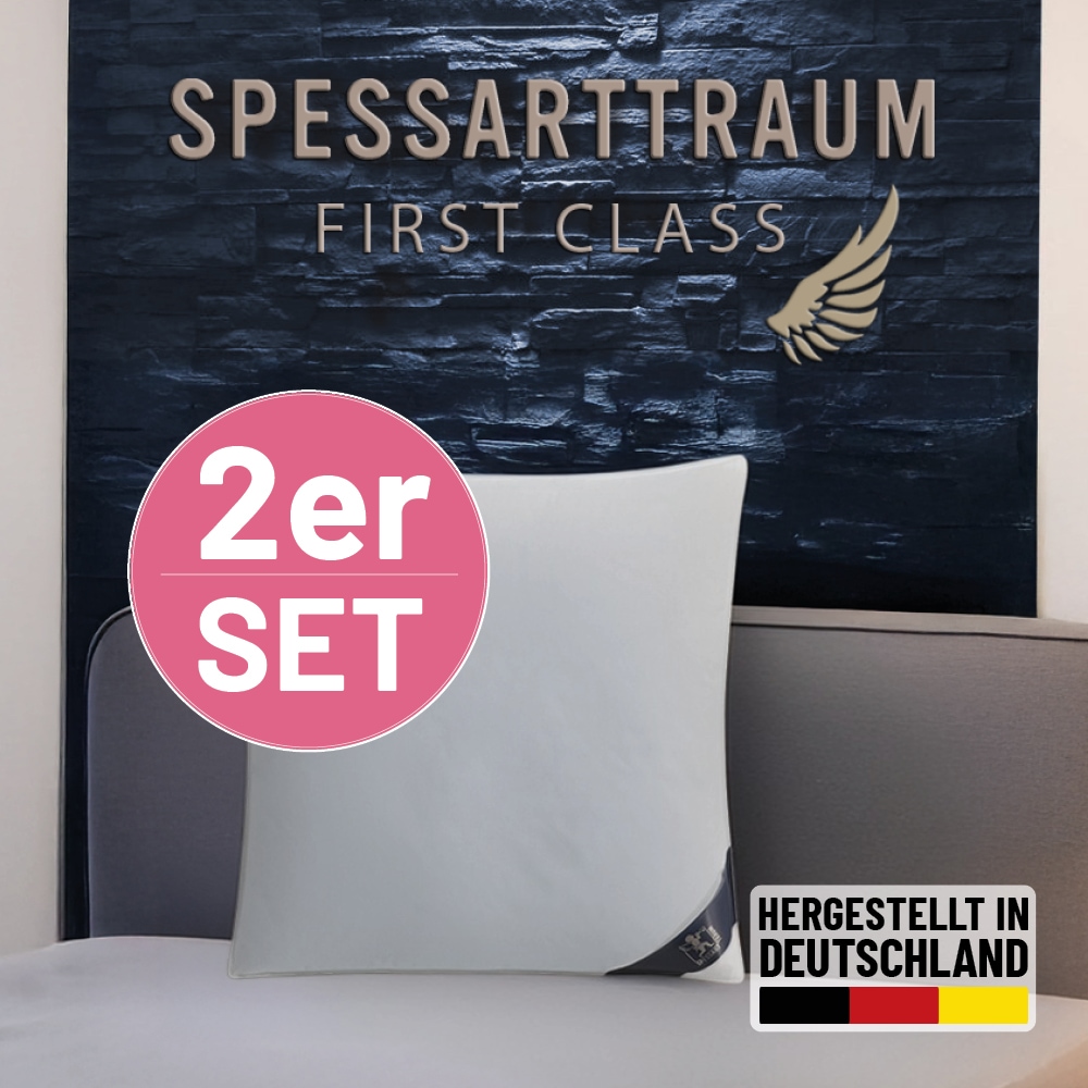 SPESSARTTRAUM Daunenkissen "Kissen-Set FIRST CLASS" Füllung: 90% Daunen, 10 günstig online kaufen