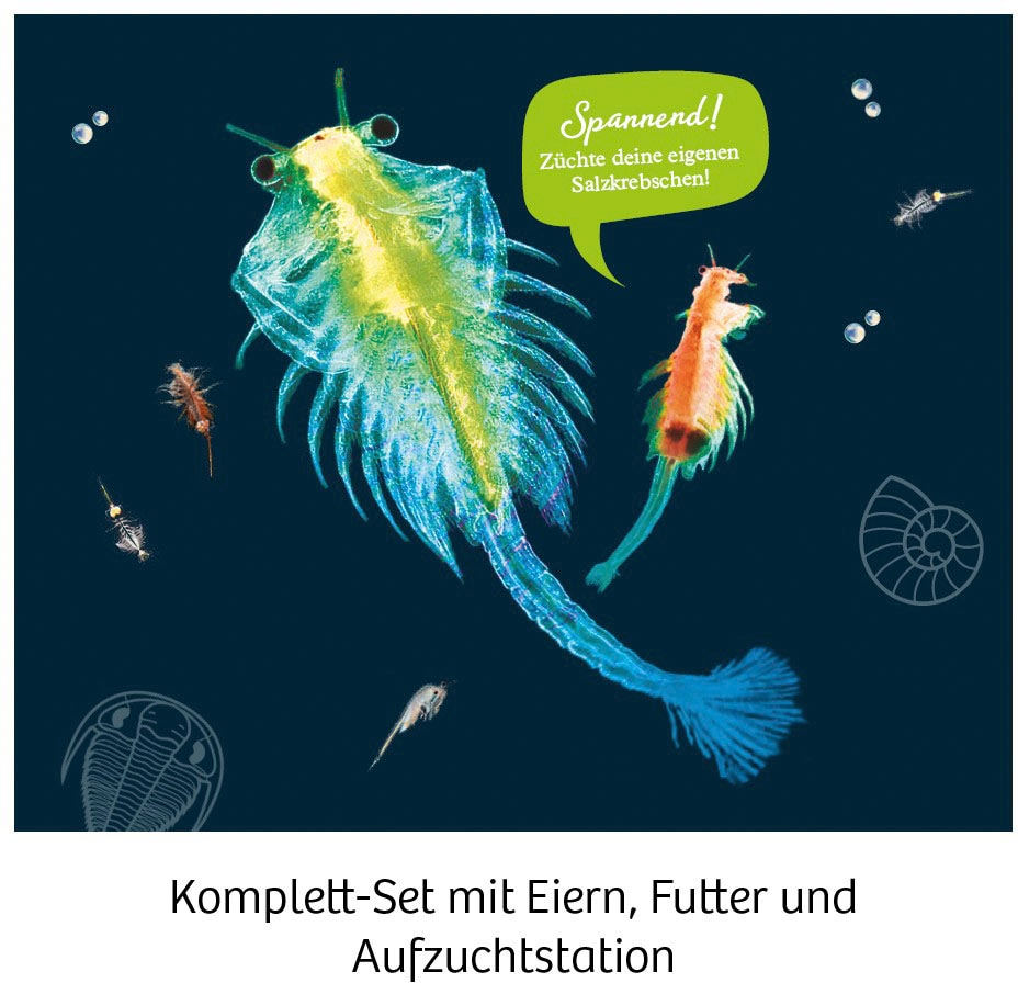 Kosmos Experimentierkasten »Urzeit-Krebse«, Made in Germany