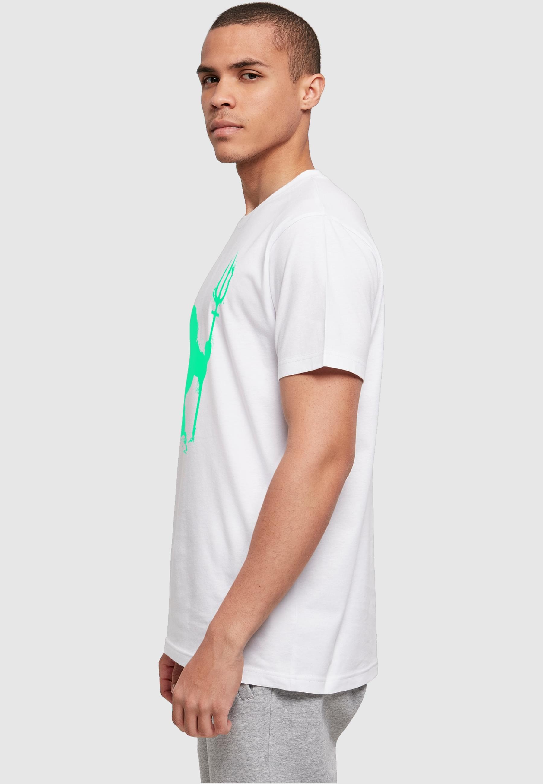 ABSOLUTE CULT T-Shirt »ABSOLUTE CULT Herren Aquaman - Aqua Silhouette T-Shirt«, (1 tlg.)