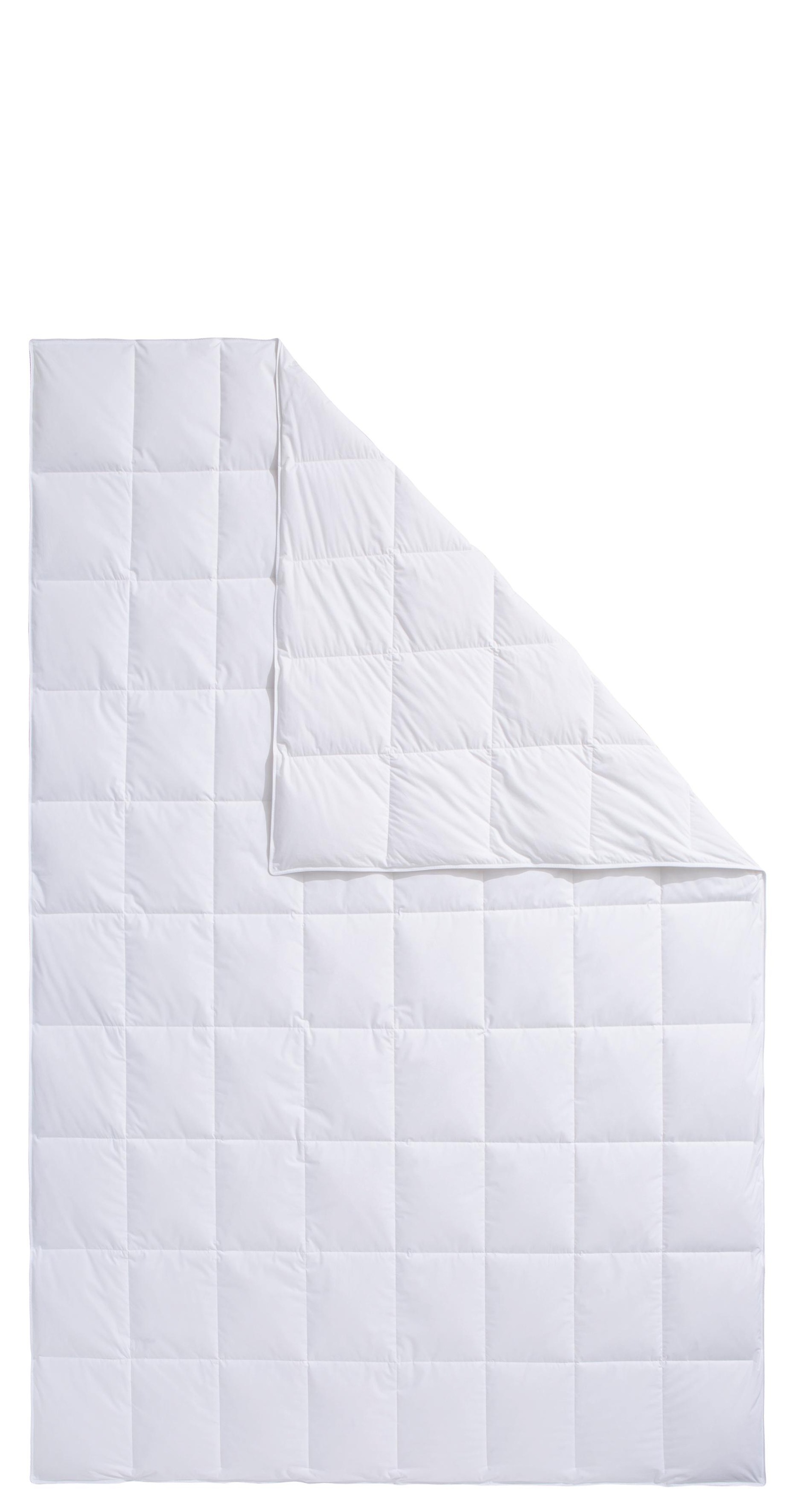 Haeussling Daunenbettdecke "Swiss Royal, Bettdecken für Sommer und Winter, günstig online kaufen