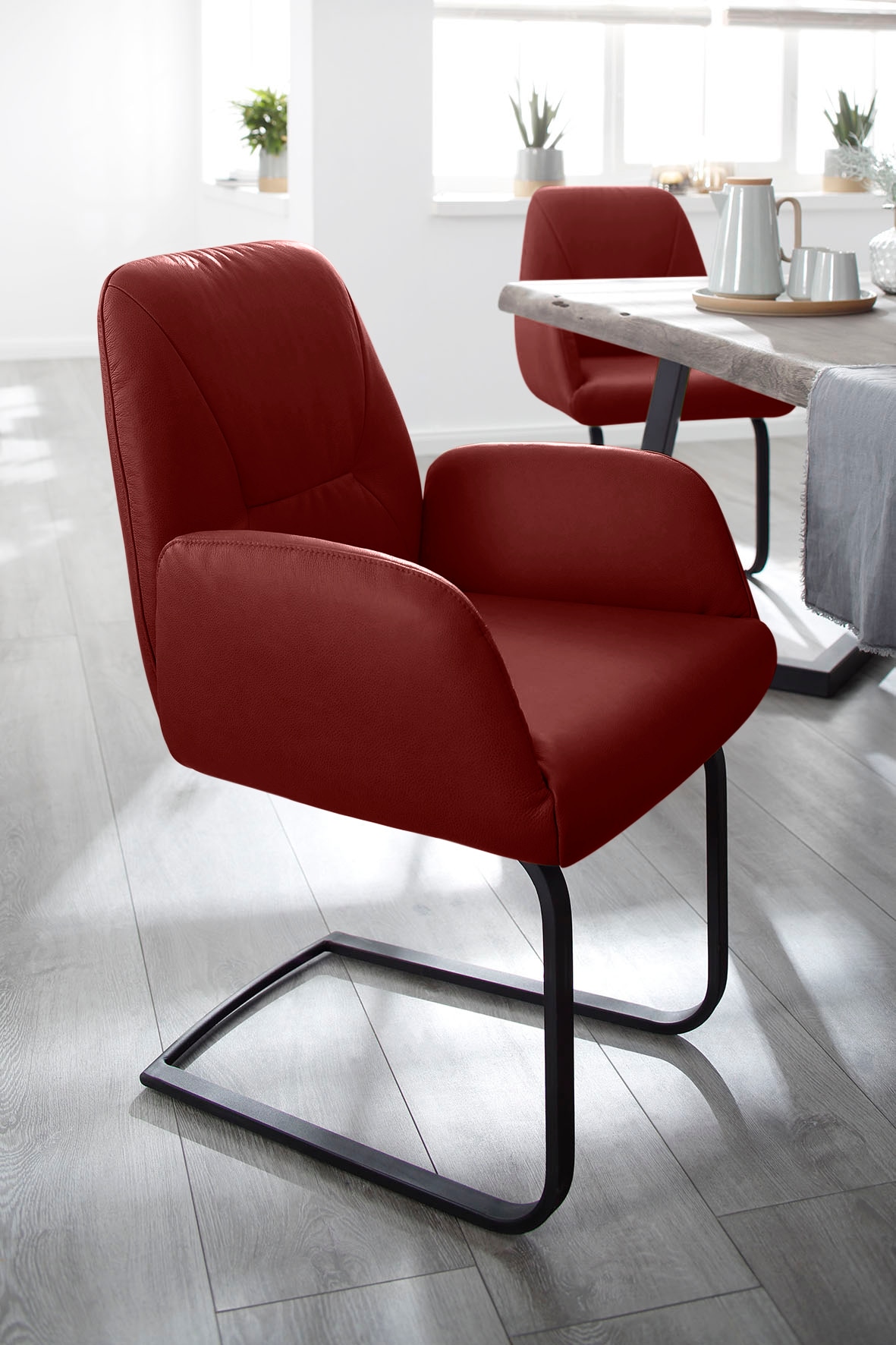 W.SCHILLIG Freischwinger "ole" () Gestell in Schwarz pulverbeschichtet günstig online kaufen