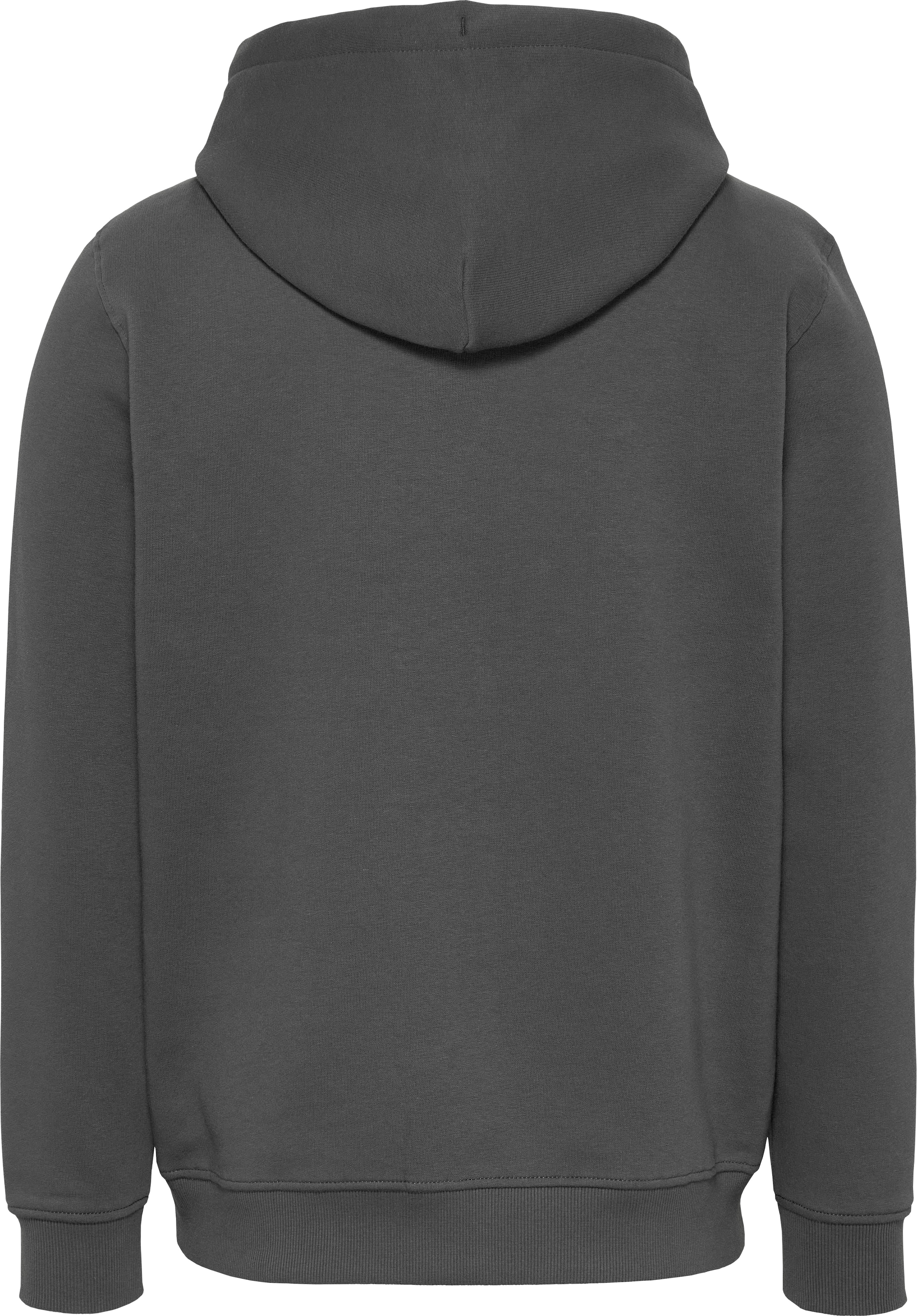 Tommy Jeans Hoodie »TJM REG LINEAR LOGO HOODIE EXT«, mit Logo-Stickerei