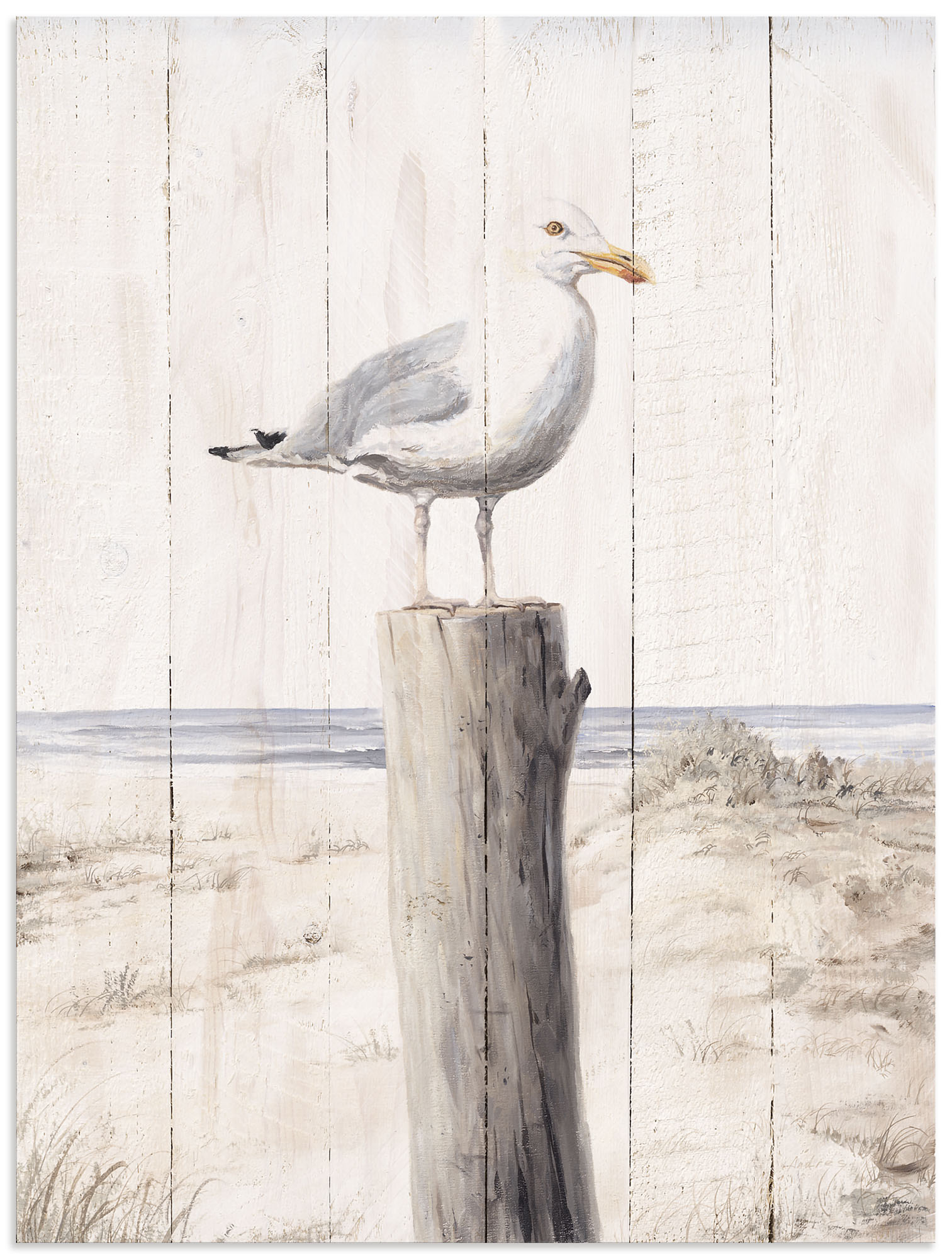 OTTO home Wandbild "Möwe mit Holzoptik" Vogelbilder 1 Stk. tlg.