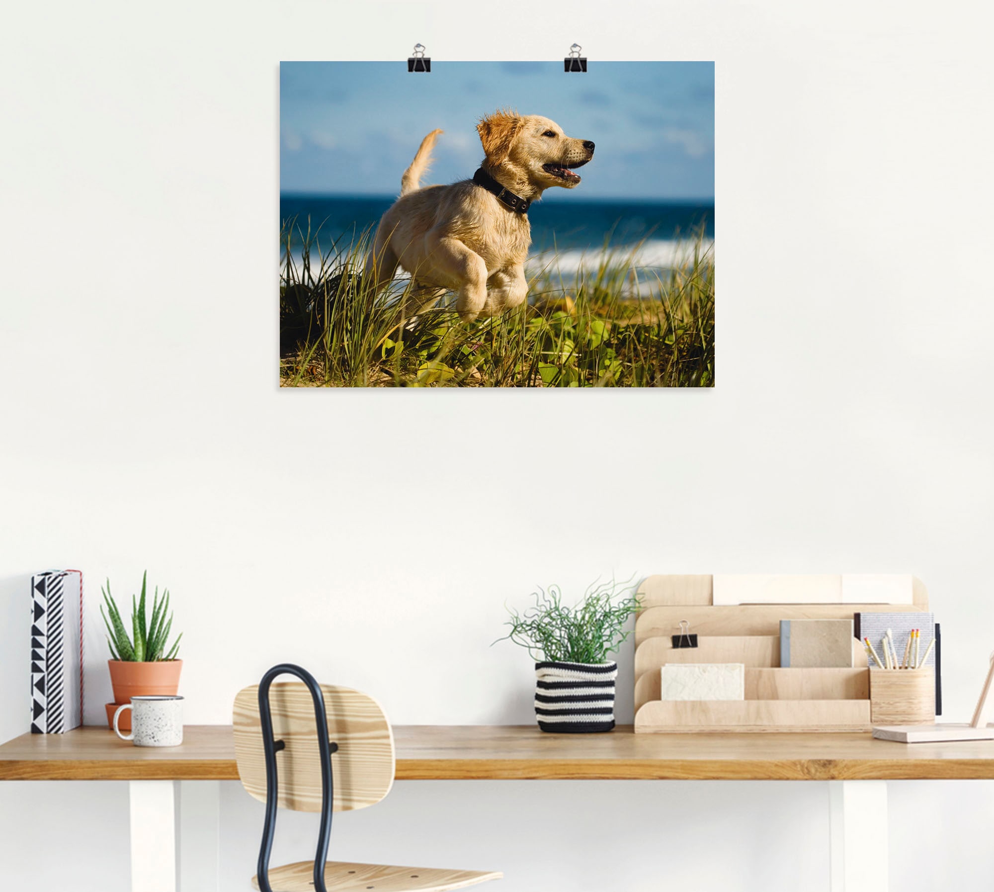 Artland Wandfolie »Hundebaby springt am Strand«, Haustiere, (1 St.), selbstklebend