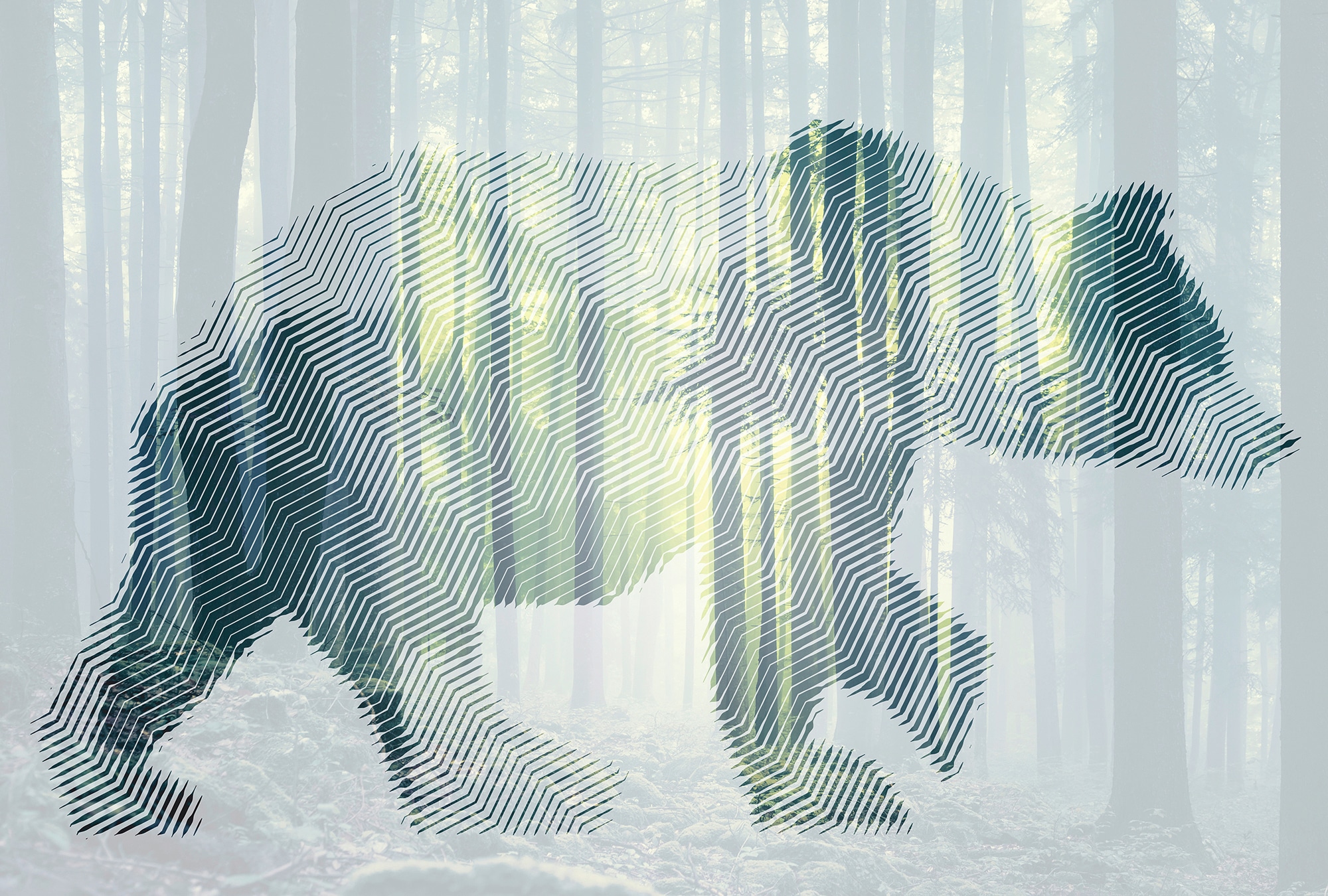 Architects Paper Fototapete "Atelier 47 Bear Forest 1" Wald glatt Vlies, Wand, Schräge, Decke