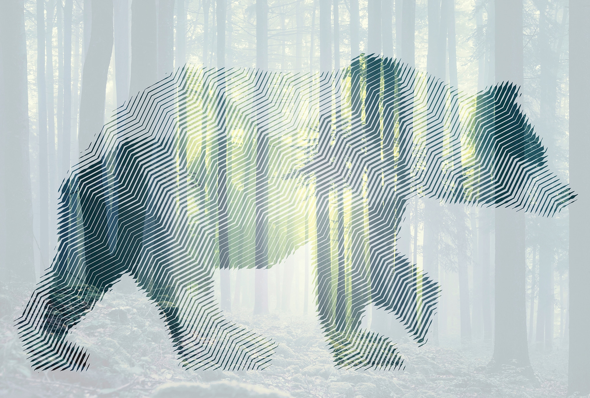 Architects Paper Fototapete "Atelier 47 Bear Forest 1", Wald, Vlies, Wand, Schräge, Decke