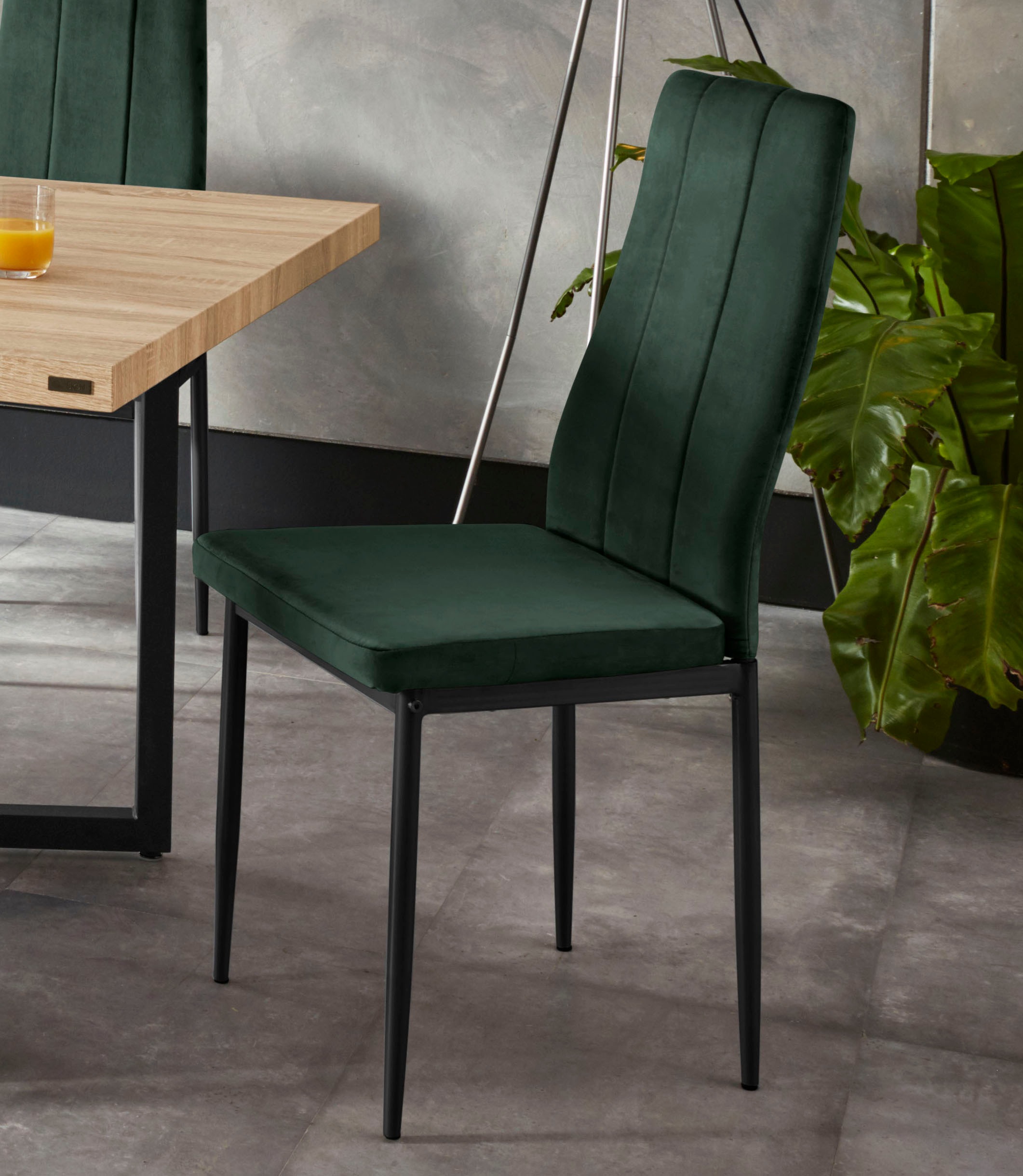 INOSIGN Esszimmerstuhl "Remus", (Set), 1 St., Samtvelours, im 1er,2er und 4 günstig online kaufen
