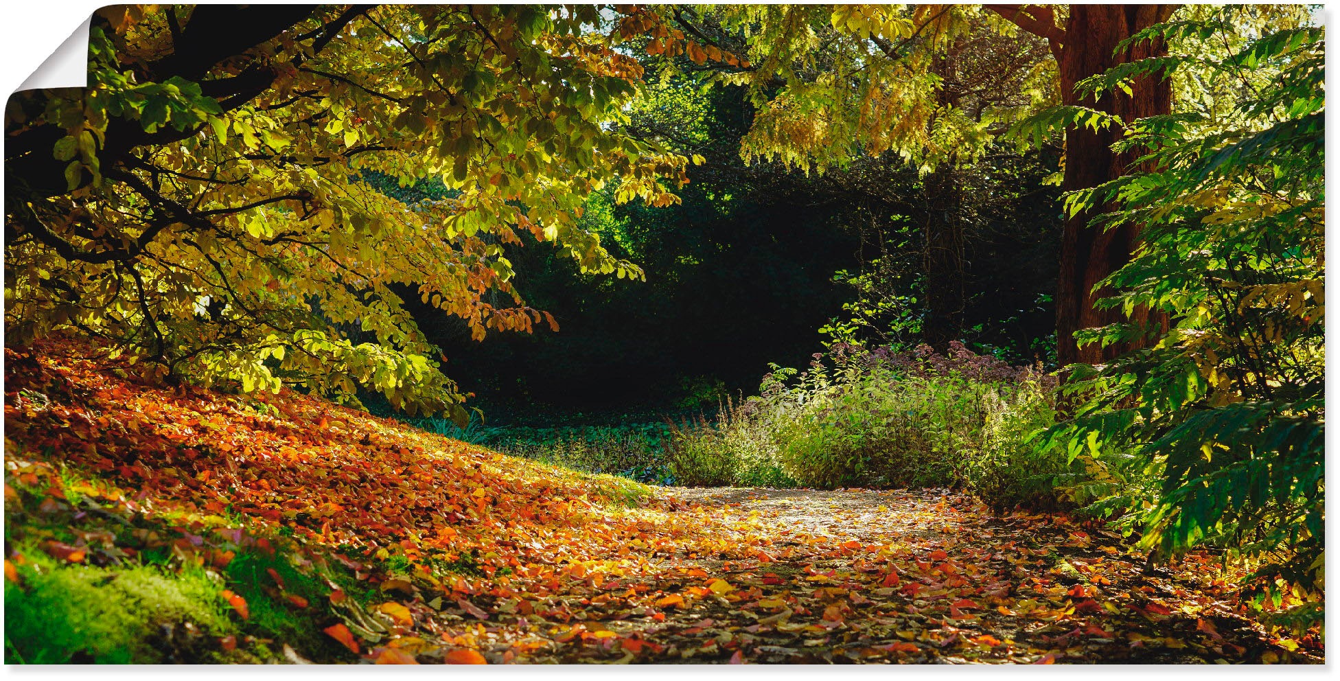 Artland Poster "Herbstteppich", Wald, (1 St.), als Leinwandbild, Wandaufkle günstig online kaufen