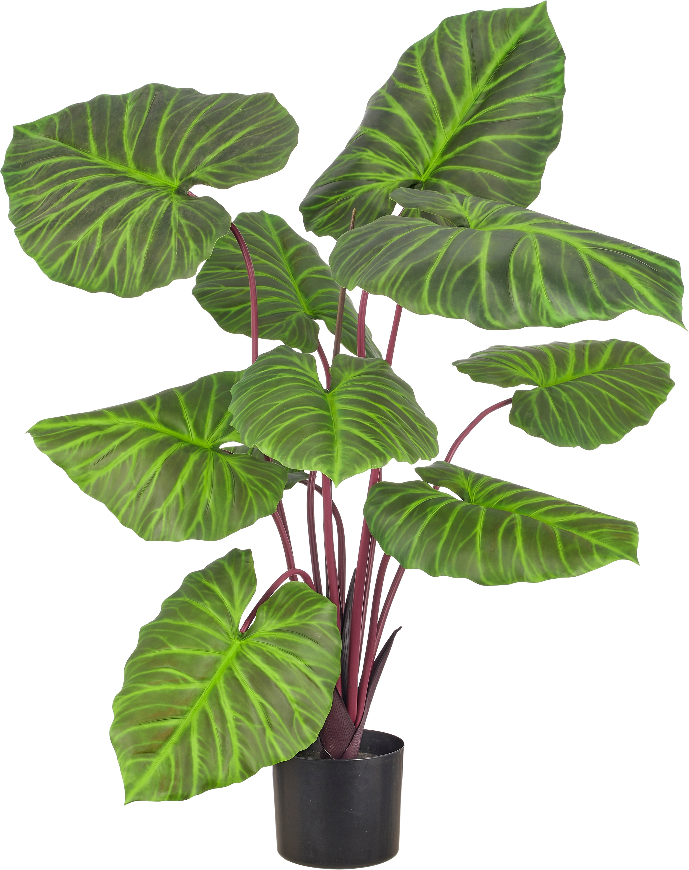 Creativ green Kunstpflanze "Colocasia" mit traumhaft schönen Blättern