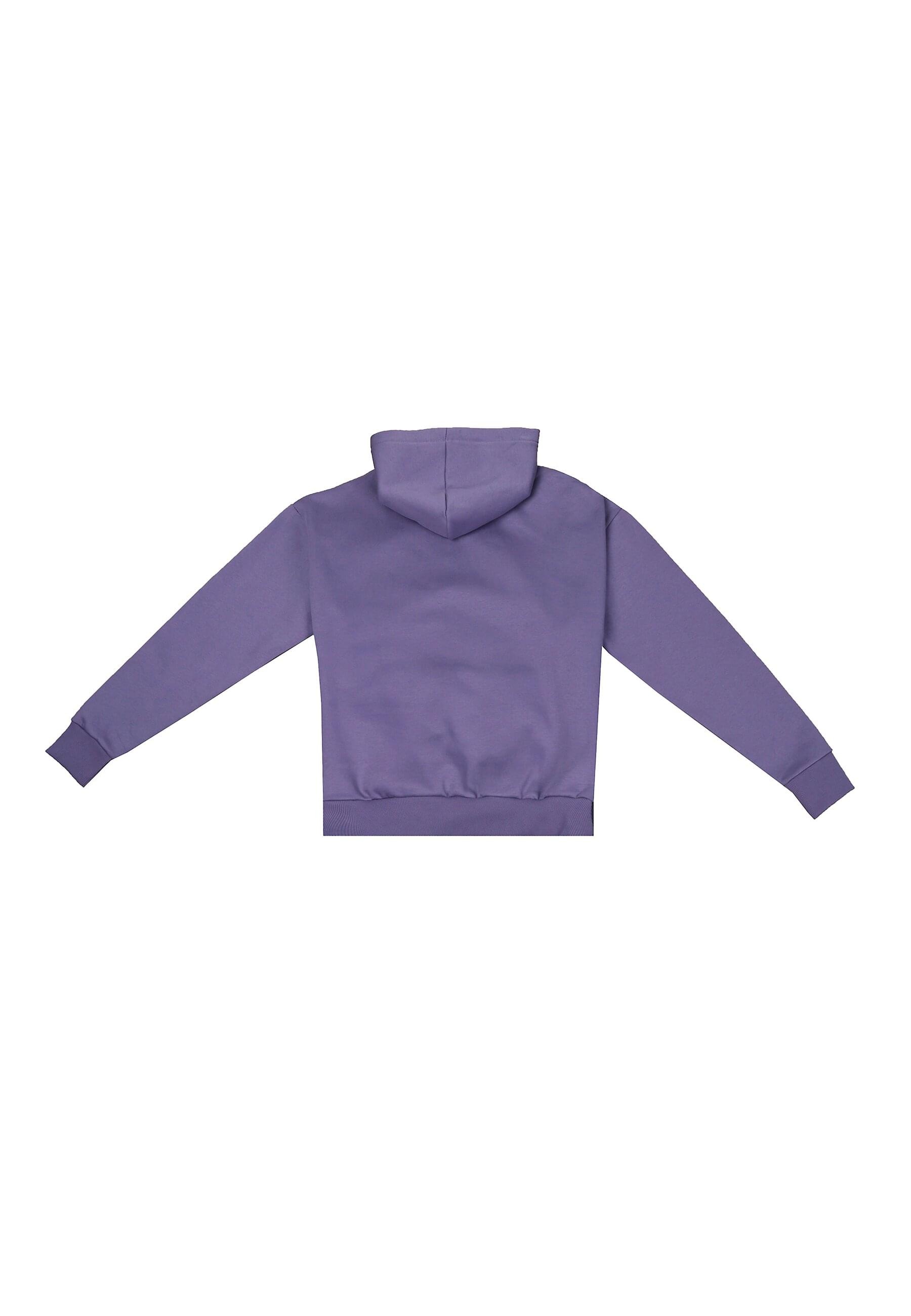 Dropsize Kapuzensweatshirt "Dropsize HEAVY OVERSIZE METAL PATCH HOODIE", 1 günstig online kaufen