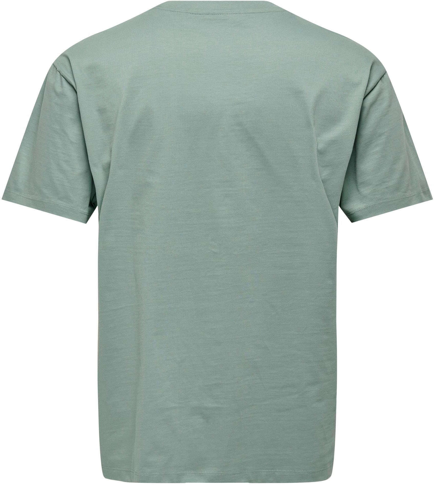 ONLY & SONS T-Shirt »ONSFRED LIFE RLX SS TEE NOOS«