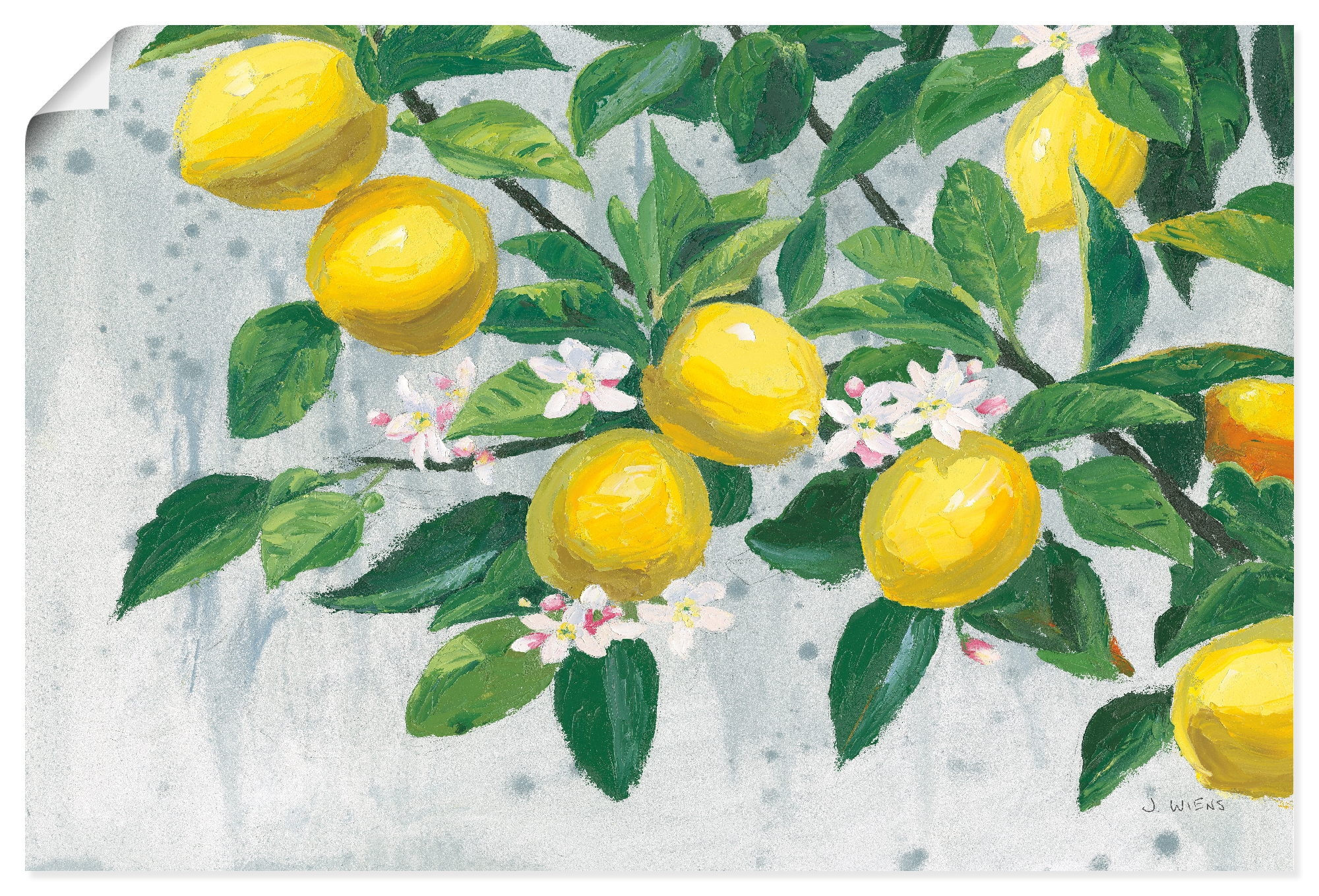 Artland Wandbild "Zesty Lemons" Baumbilder 1 Stk. tlg. als Alubild, Leinwandbild, Poster, Wandaufkleber in verschied. Größen