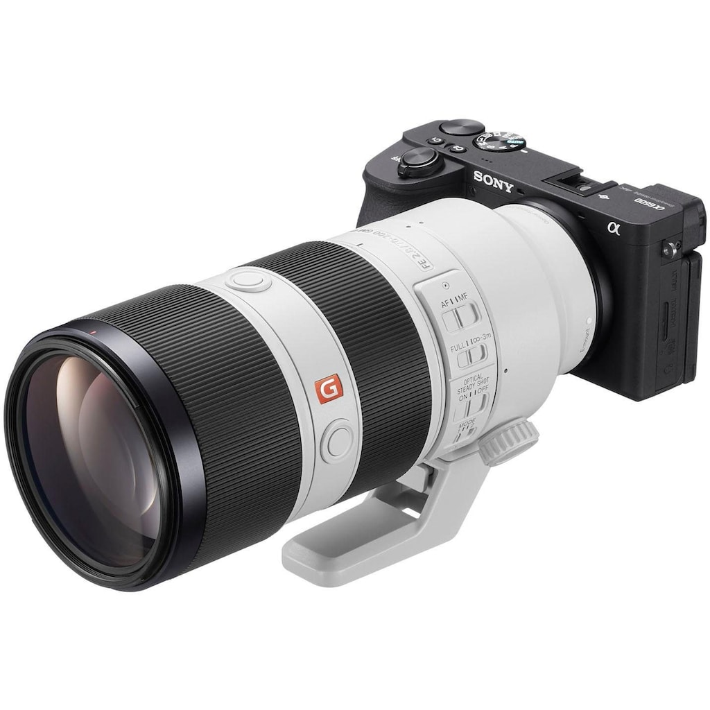 Sony Systemkamera »ILCE-6600B - Alpha 6600 E-Mount«, 24,2 MP