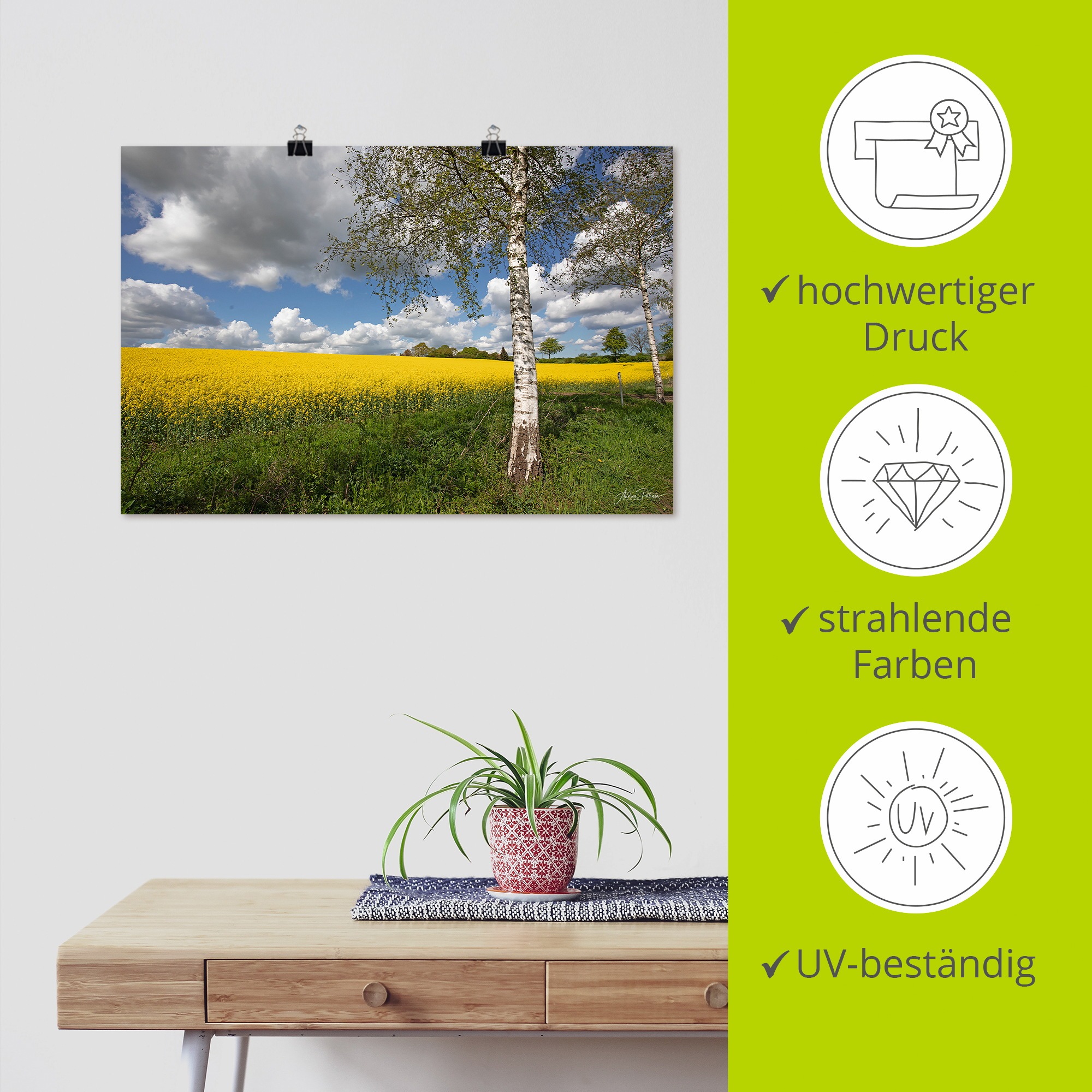 Artland Wandbild »Rapsfeld«, Wiesen & Baumbilder, (1 St.), als Alubild, Outdoorbild, Poster in verschied. Größen