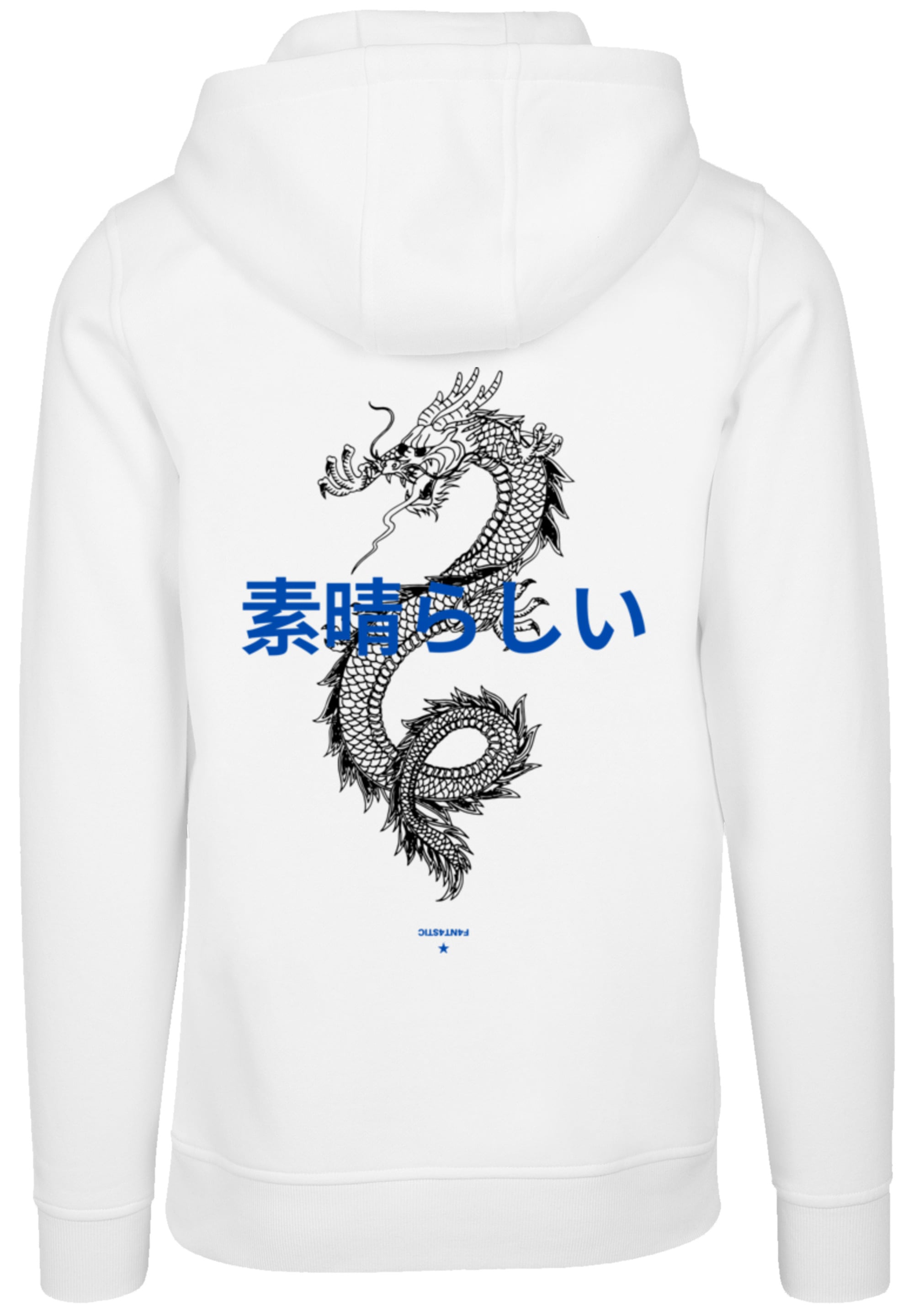 kaufen online BAUR Warm, | Bequem lila«, »Dragon Kapuzenpullover Hoodie, F4NT4STIC