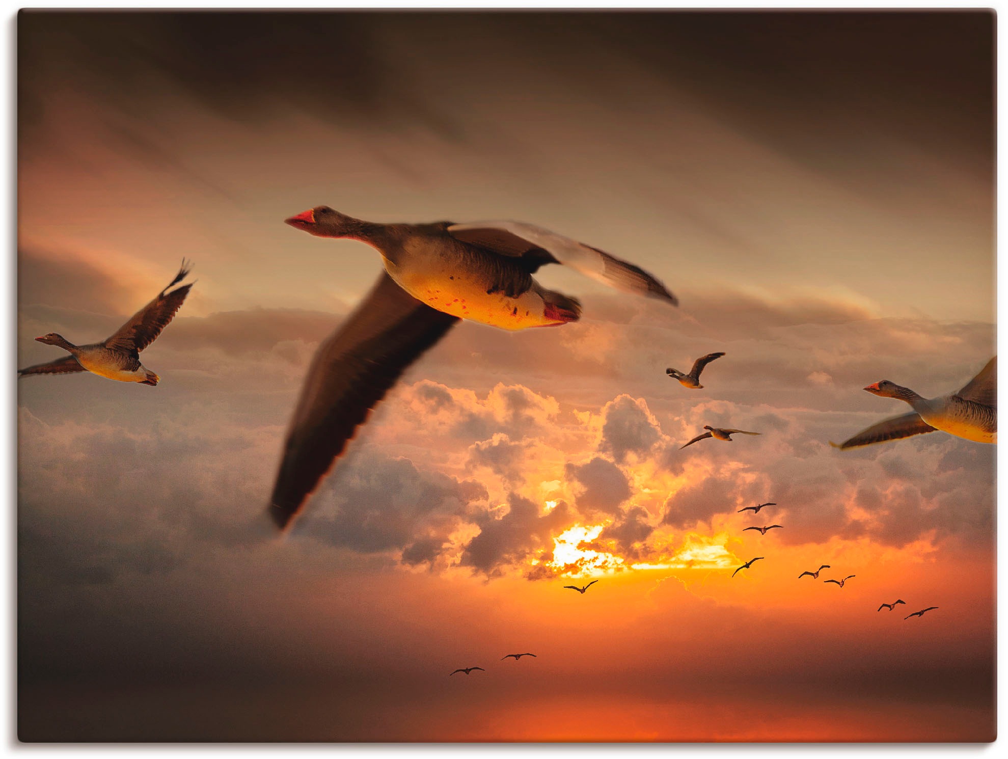 der Wandaufkleber BAUR Wandbild Vögel, Leinwandbild, als Poster bestellen »Der Wildgänse...«, St.), | Flug in (1 versch. Artland Größen oder