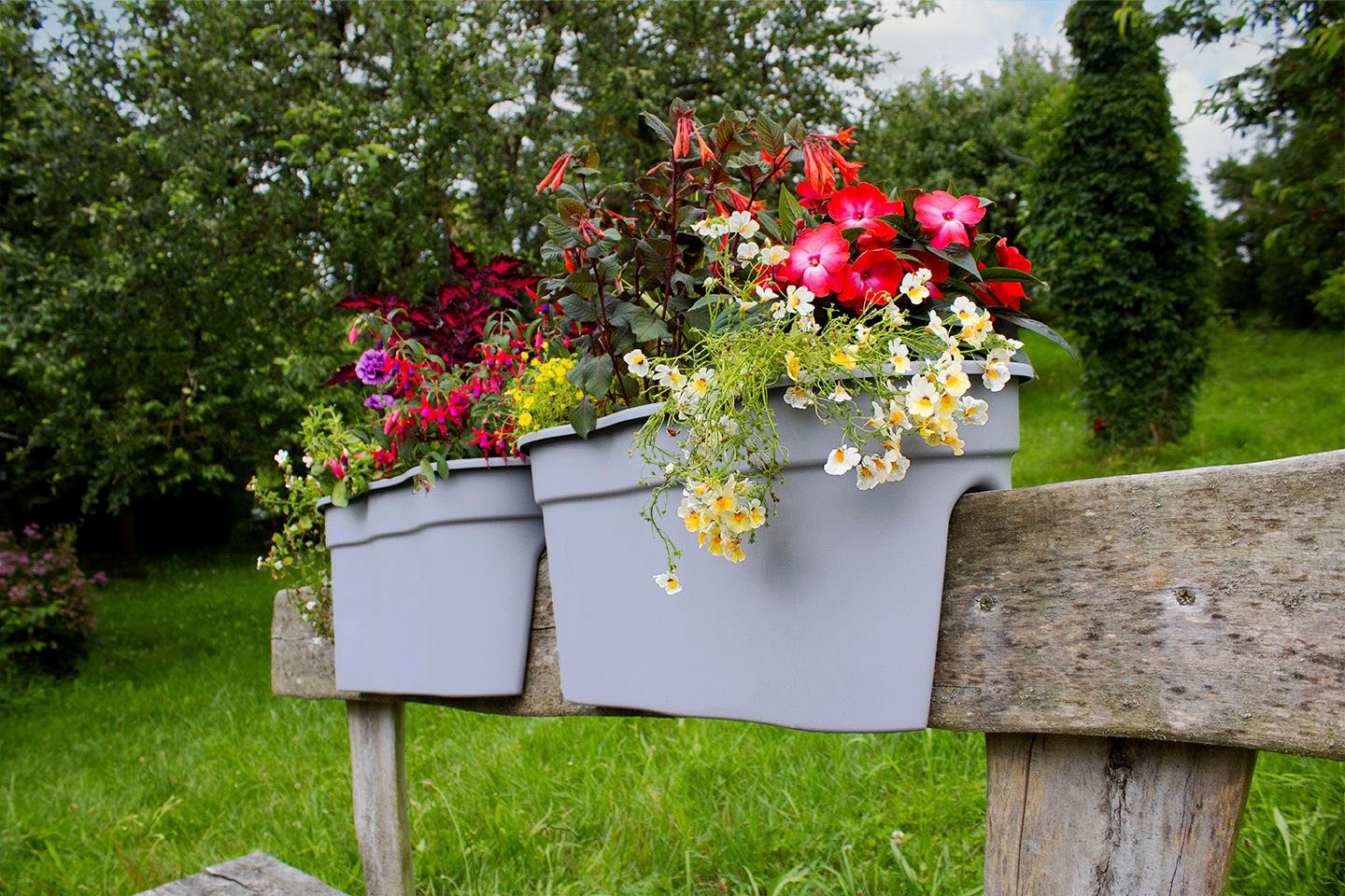 KHW Balkonkasten "Flowerclip XXL" BxTxH: 57,5x27,7x27 cm günstig online kaufen