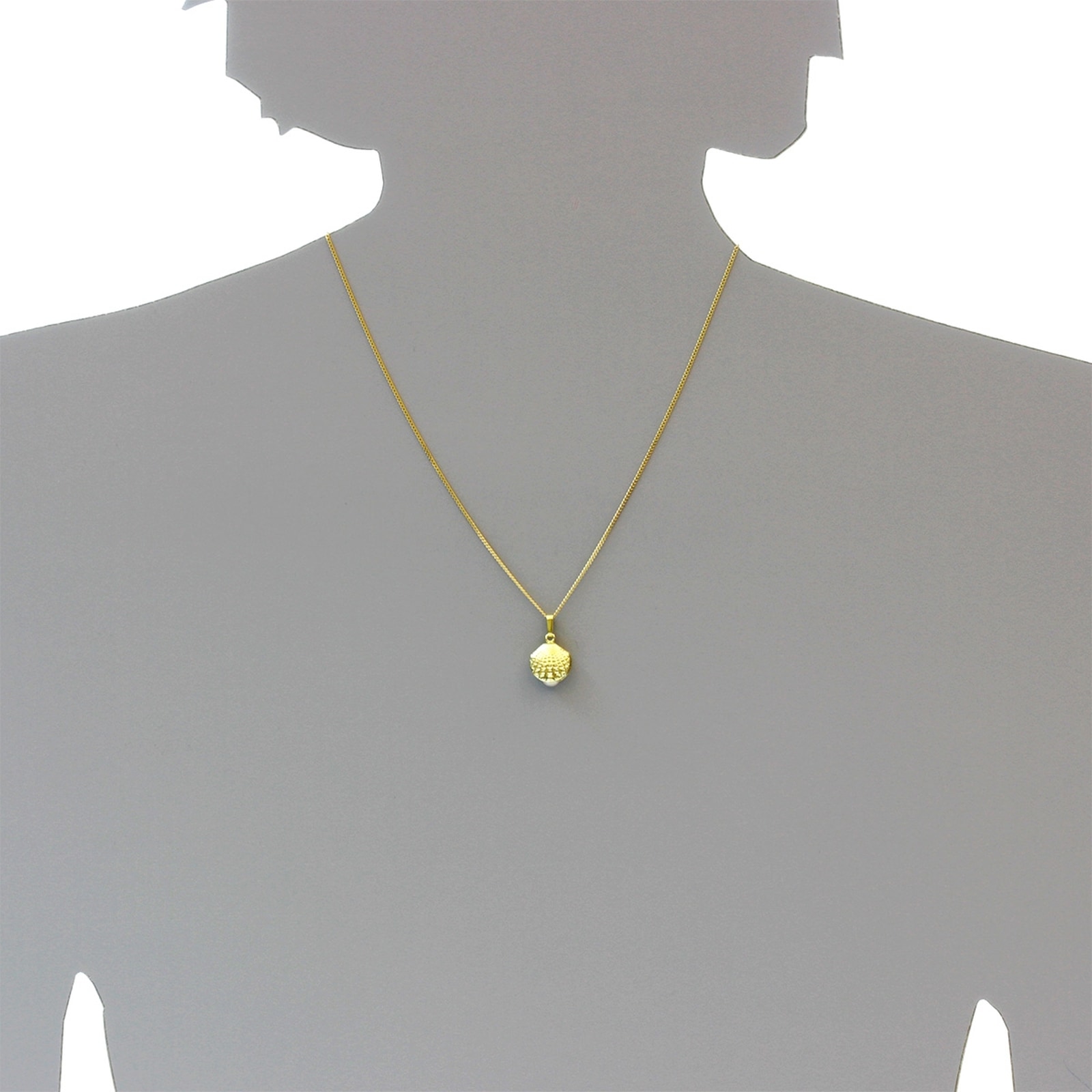 OSTSEE-SCHMUCK Kette und Anhänger Set »- Muschel - Gold 333/000 -,«